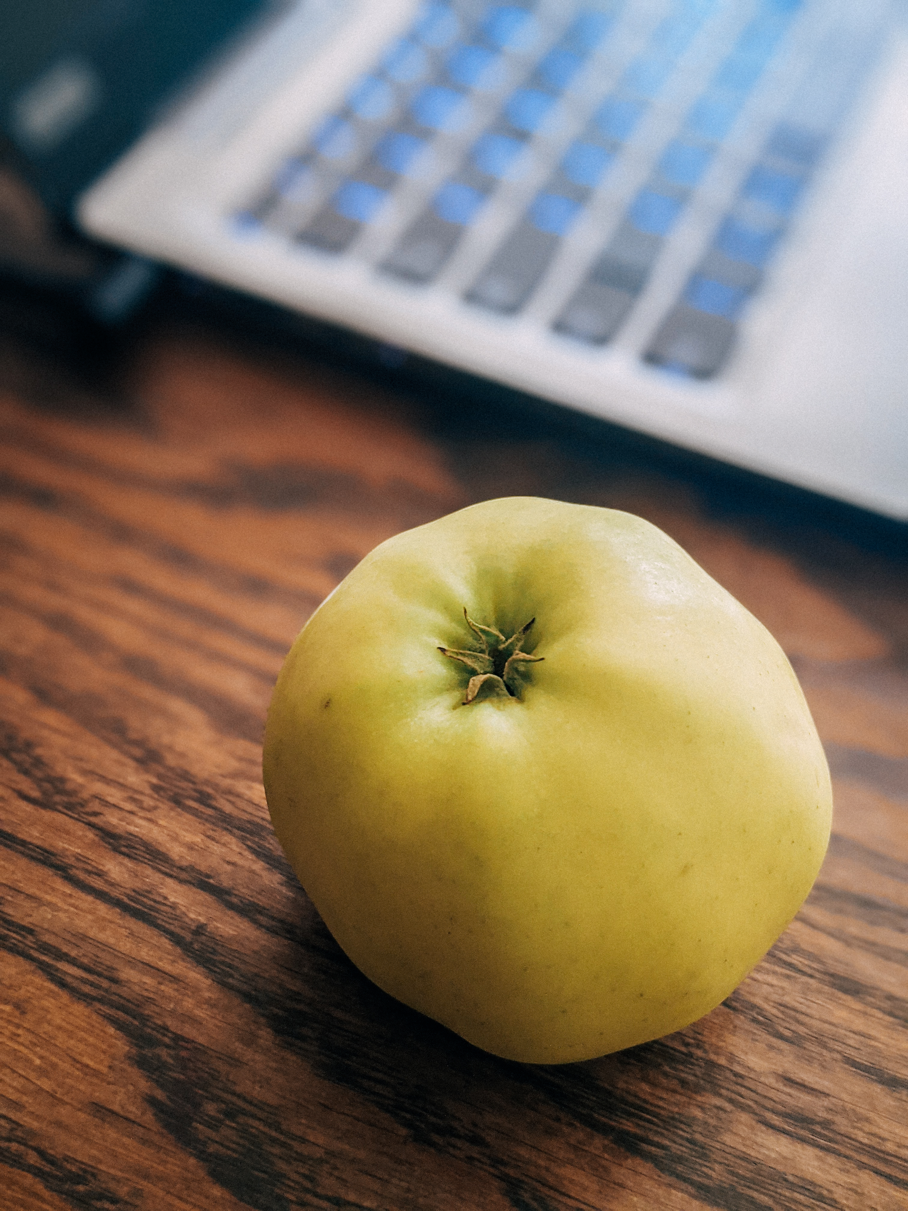 Apple Fruit Laptop Keyboard