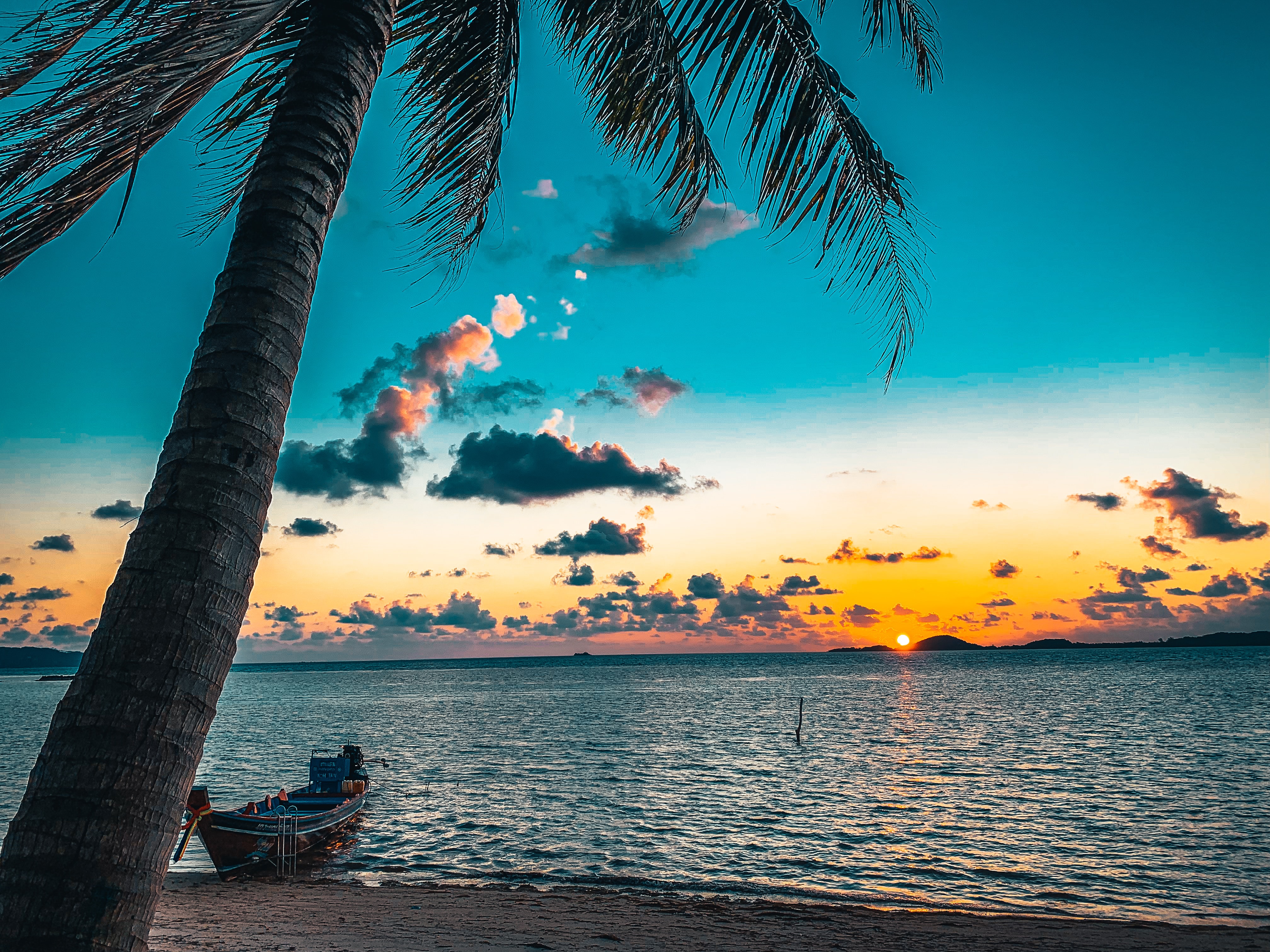 Beach Palm-tree Sea Boat Sunset