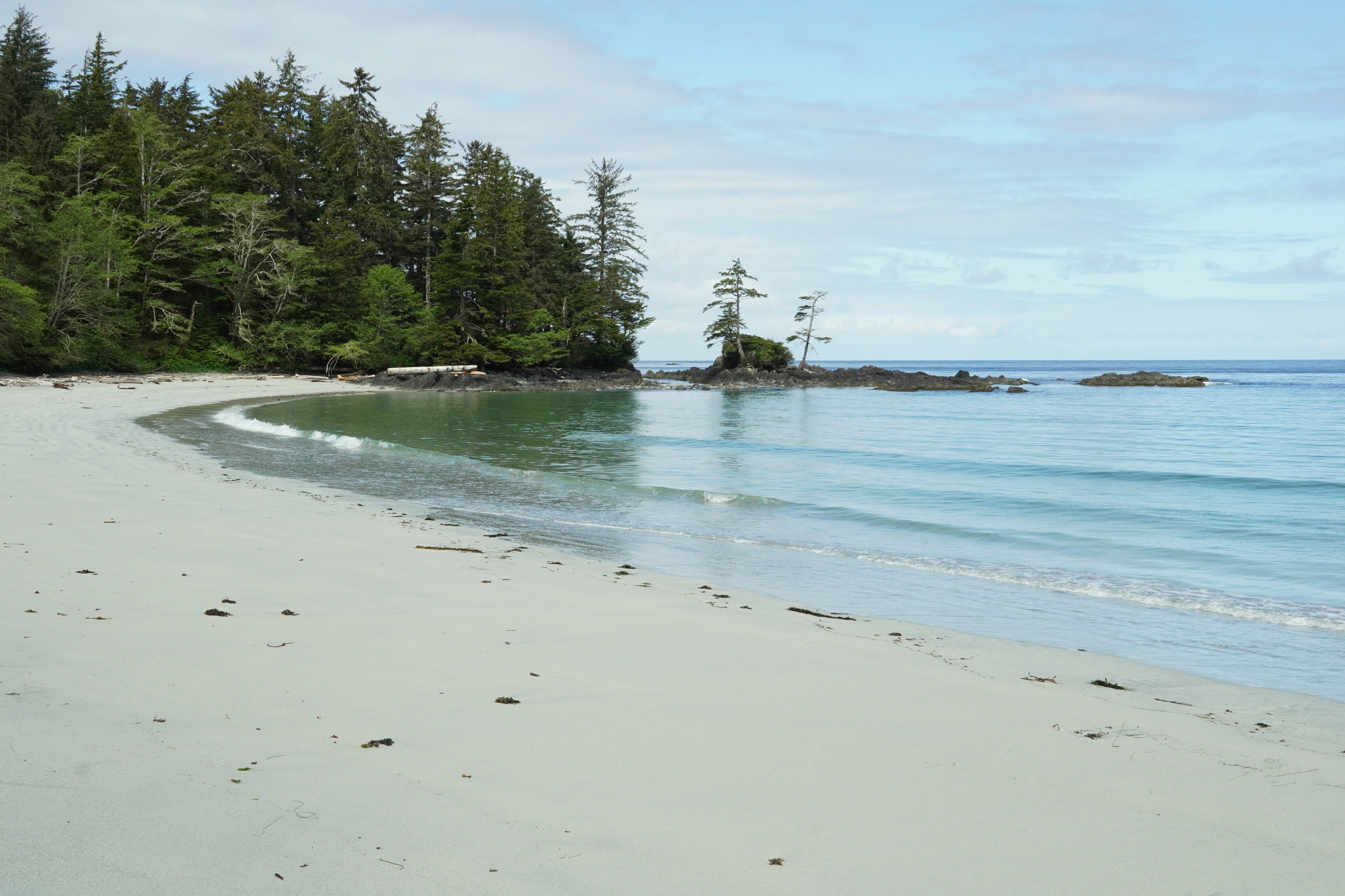 Beach Sand Sea Trees Landscape