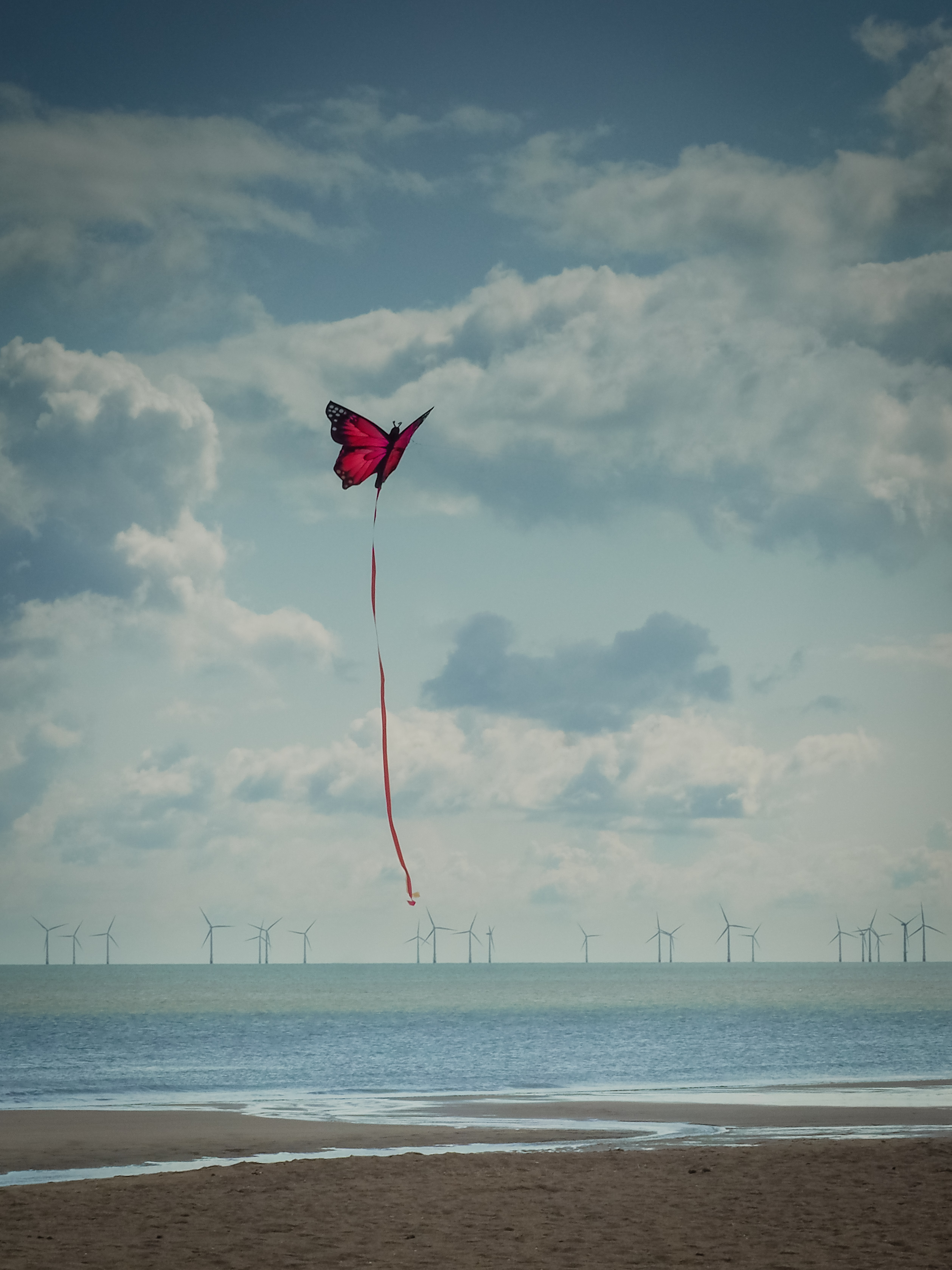 Beach Sea Kite Butterfly Flight