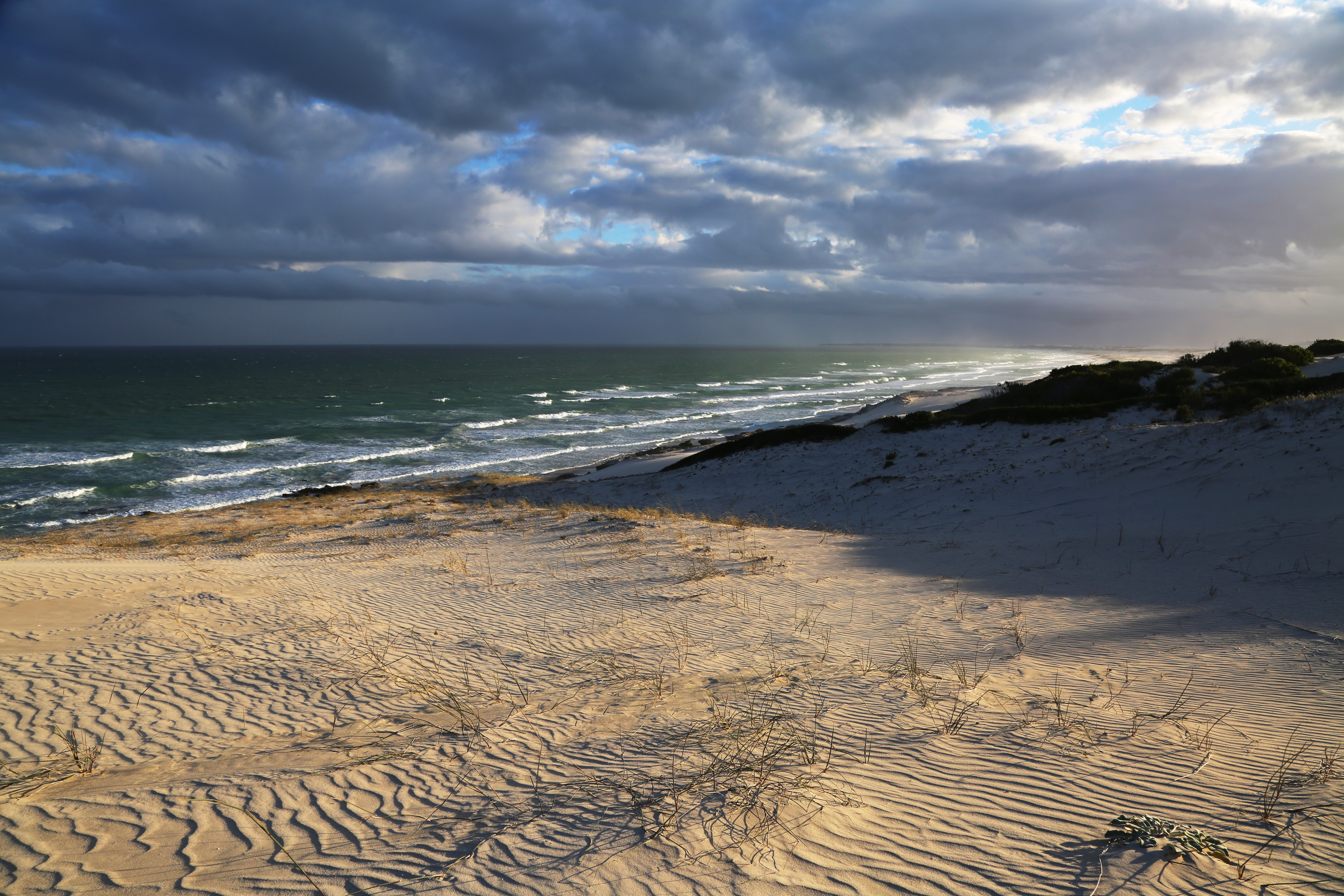 Beach Shore Sea Nature Landscape