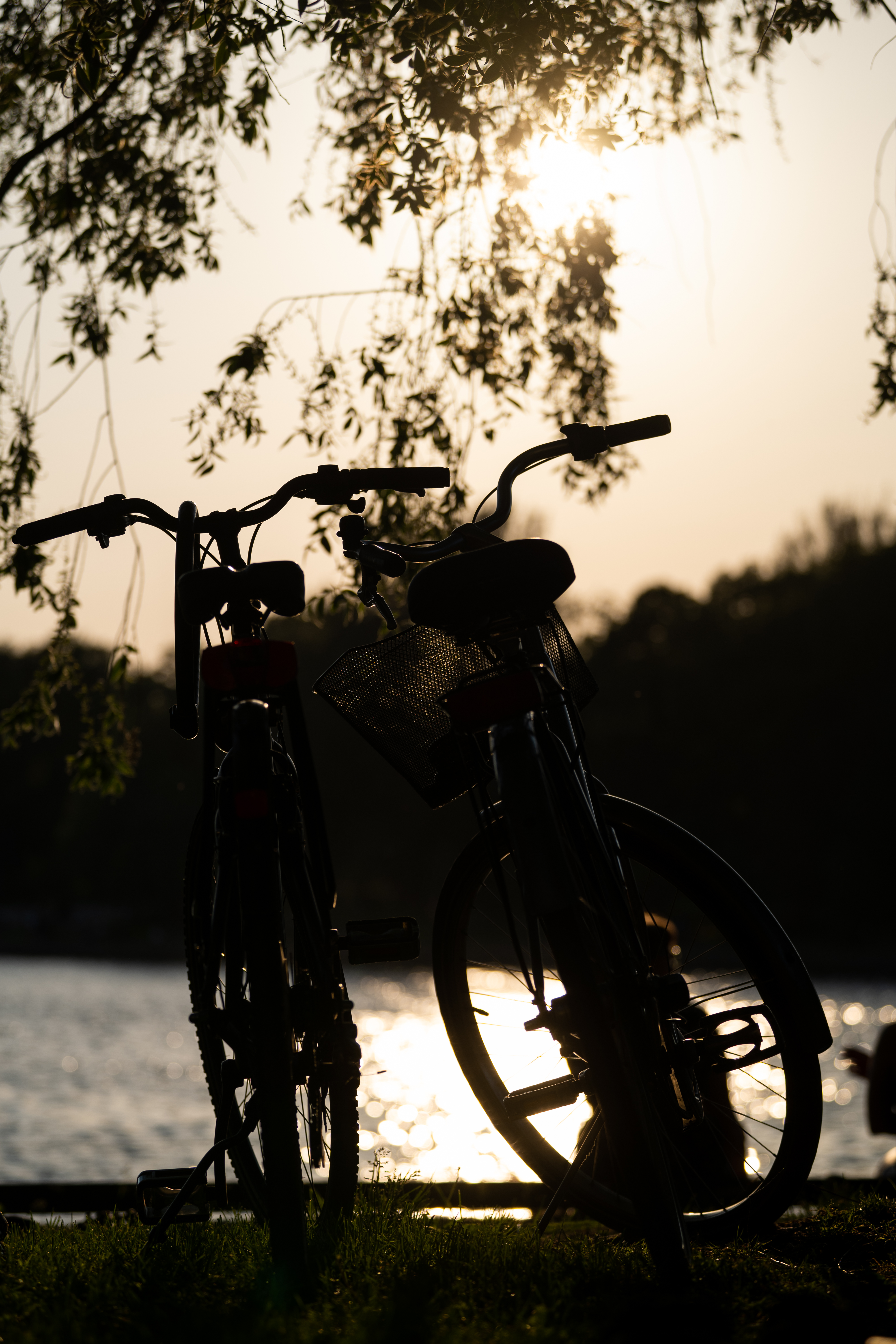 Bicycles Bikes Silhouettes Twilight Dark
