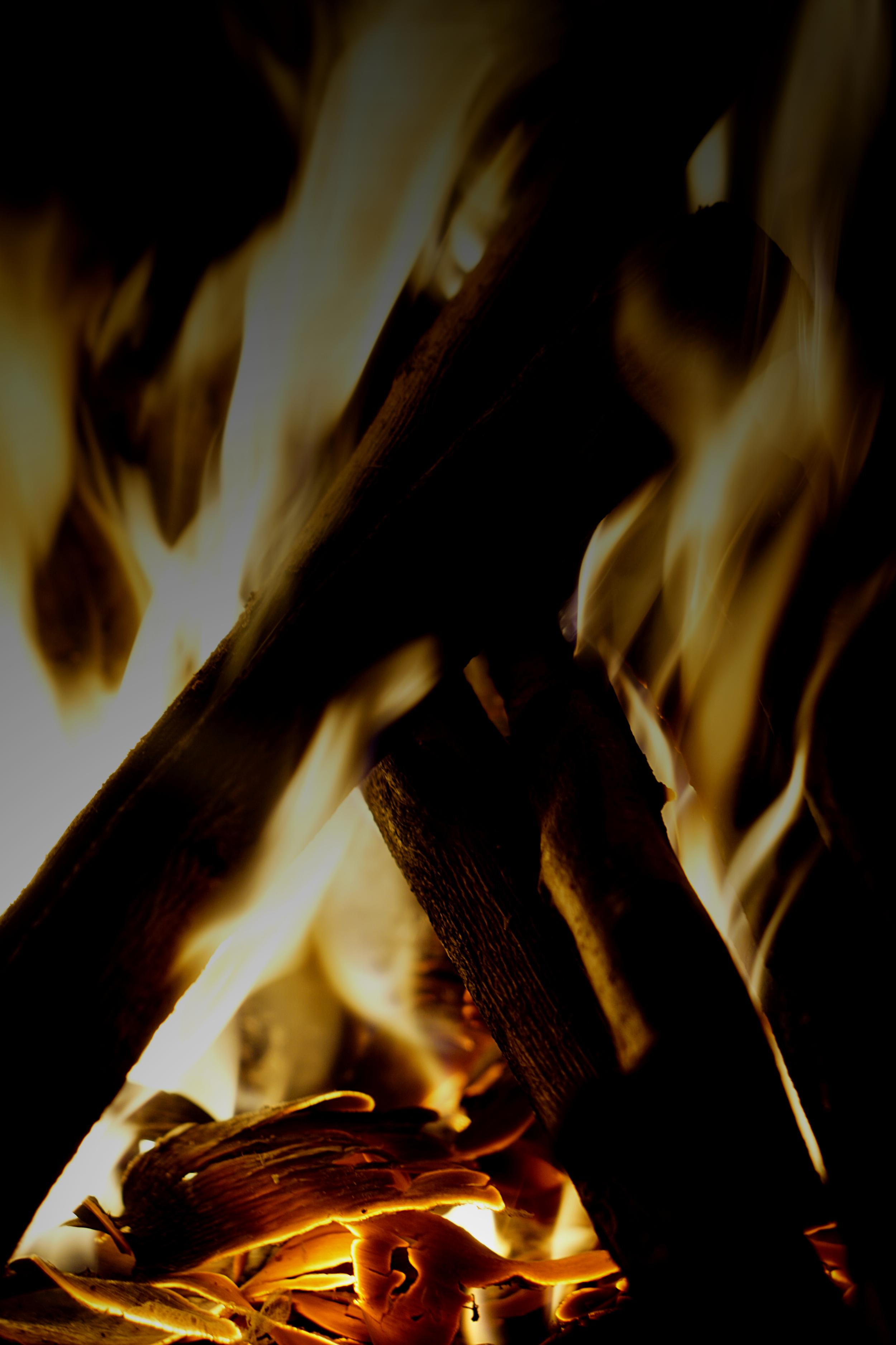 Bonfire Logs Fire Flame Light Dark