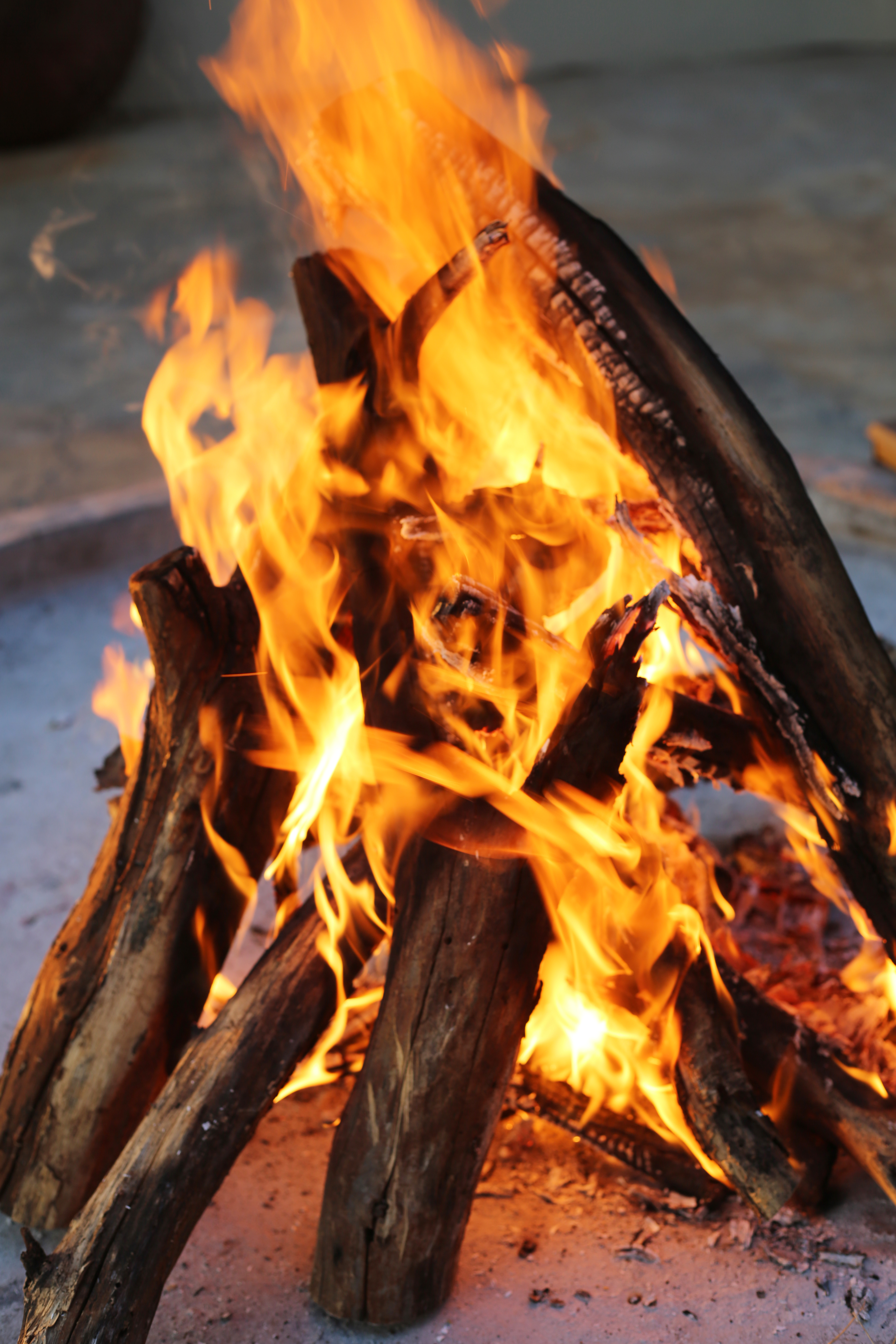 Bonfire Logs Flame Fire