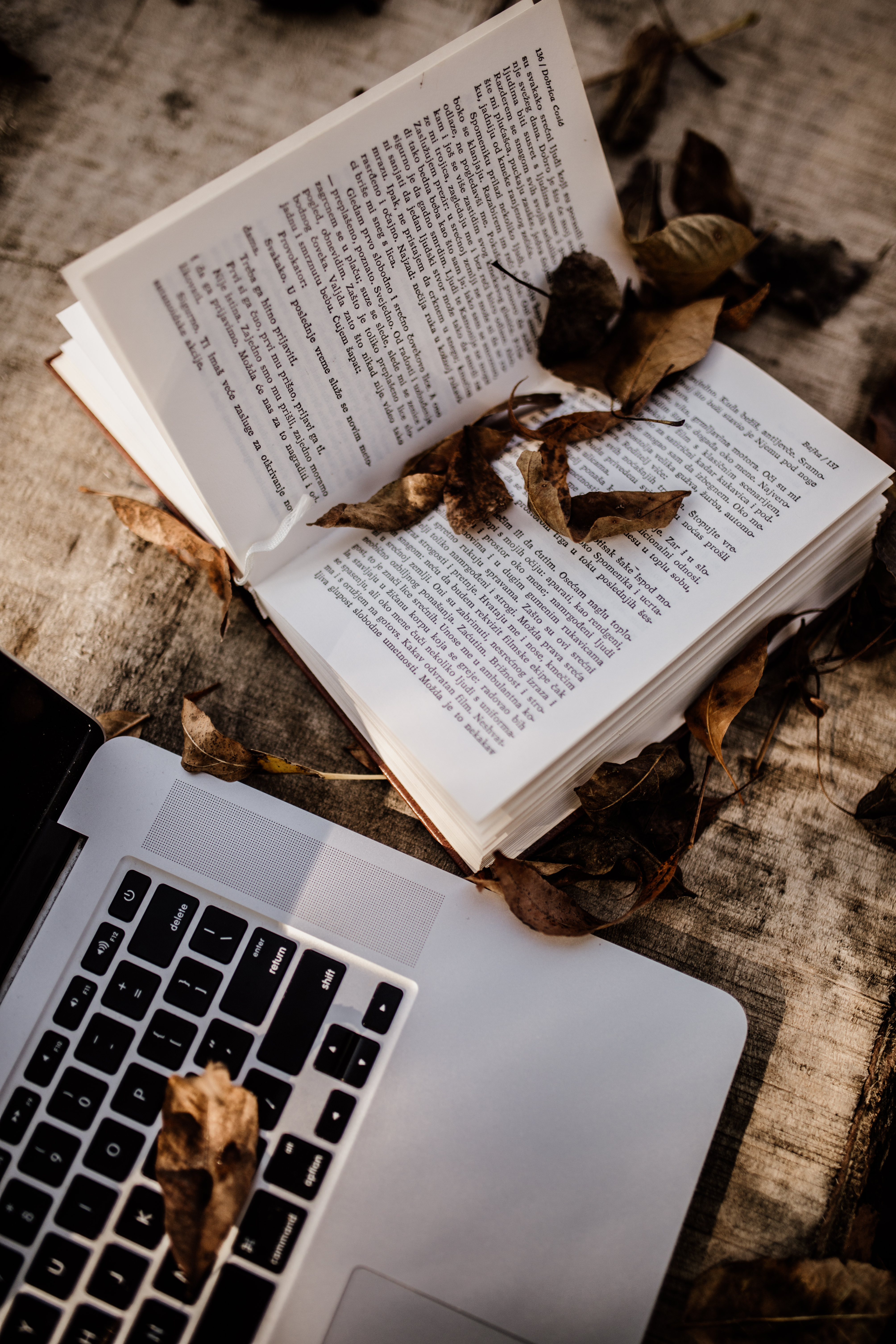 Book Laptop Leaves Dry Autumn Aesthetics