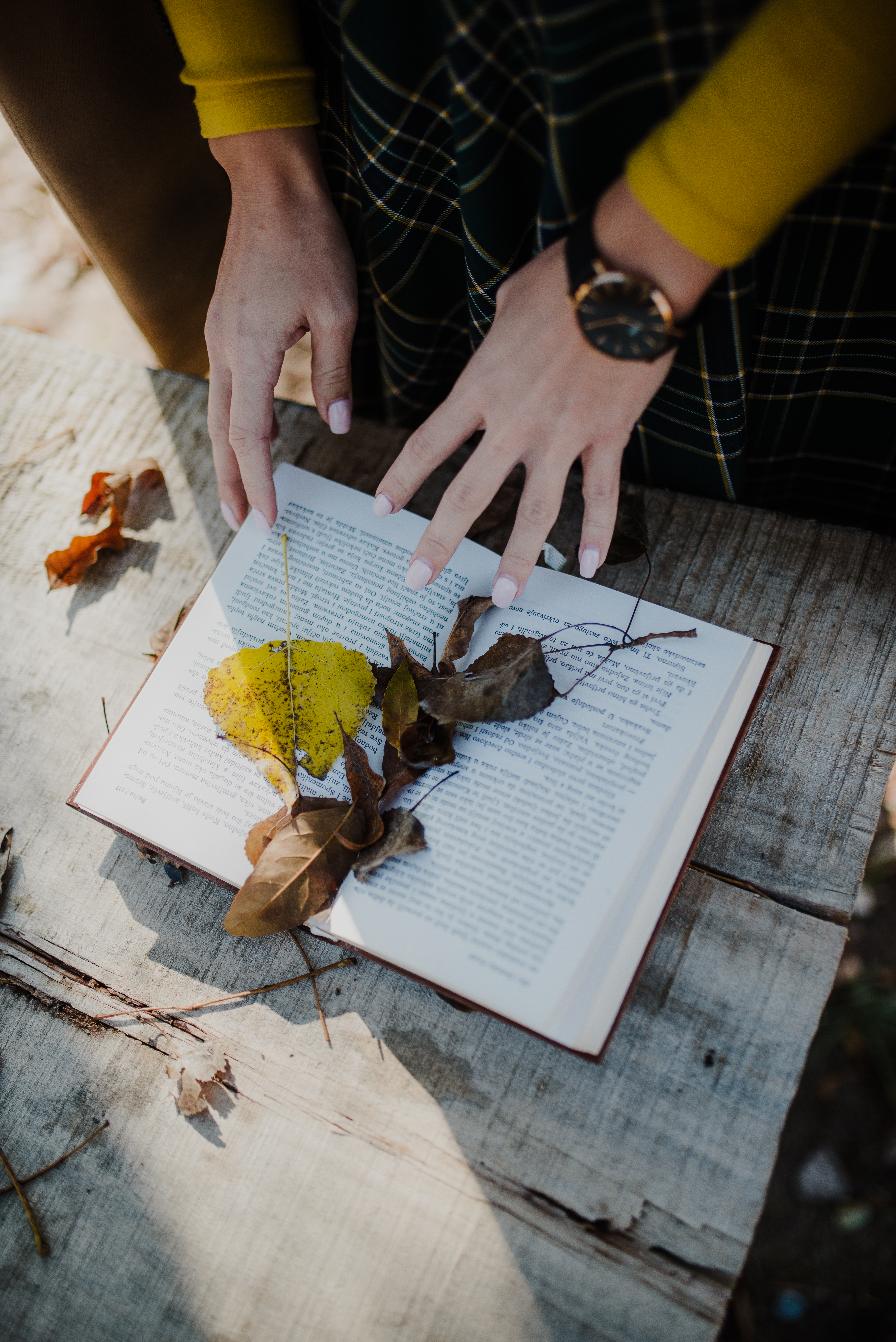 Book Leaves Hands Autumn Aesthetics