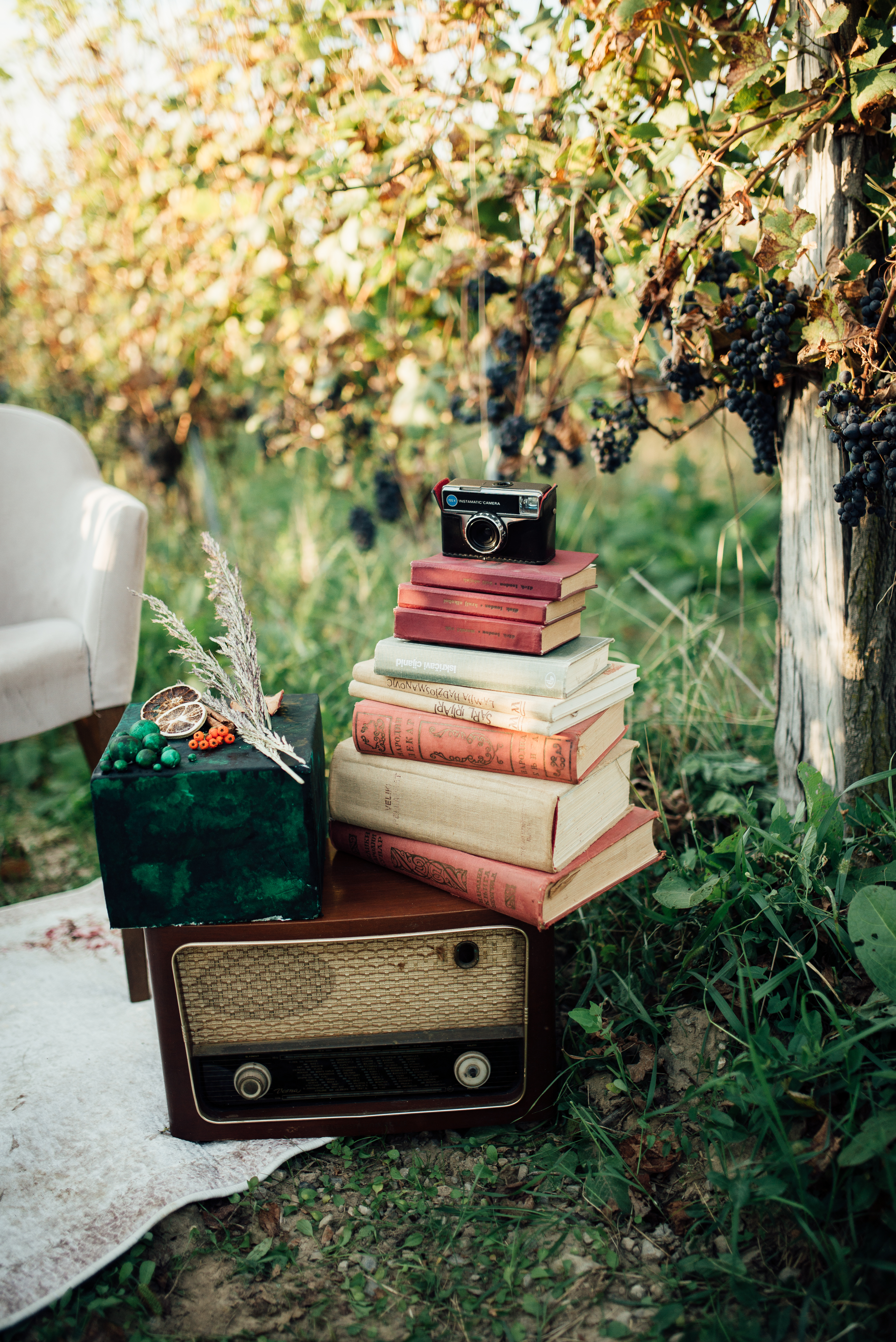 Books Camera Wood Grapes Retro Aesthetics