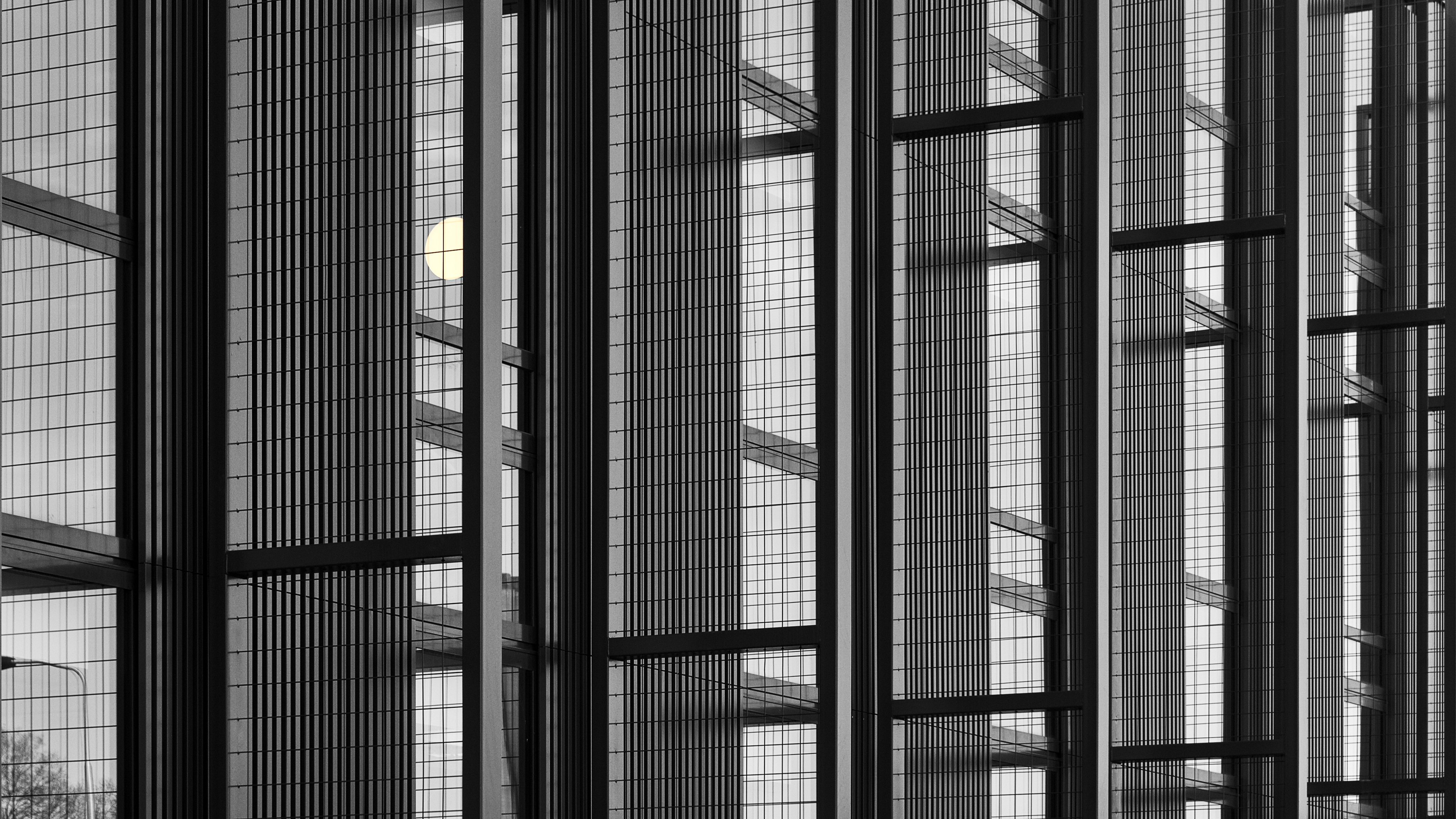 Building Architecture Glass Mesh Black-and-white