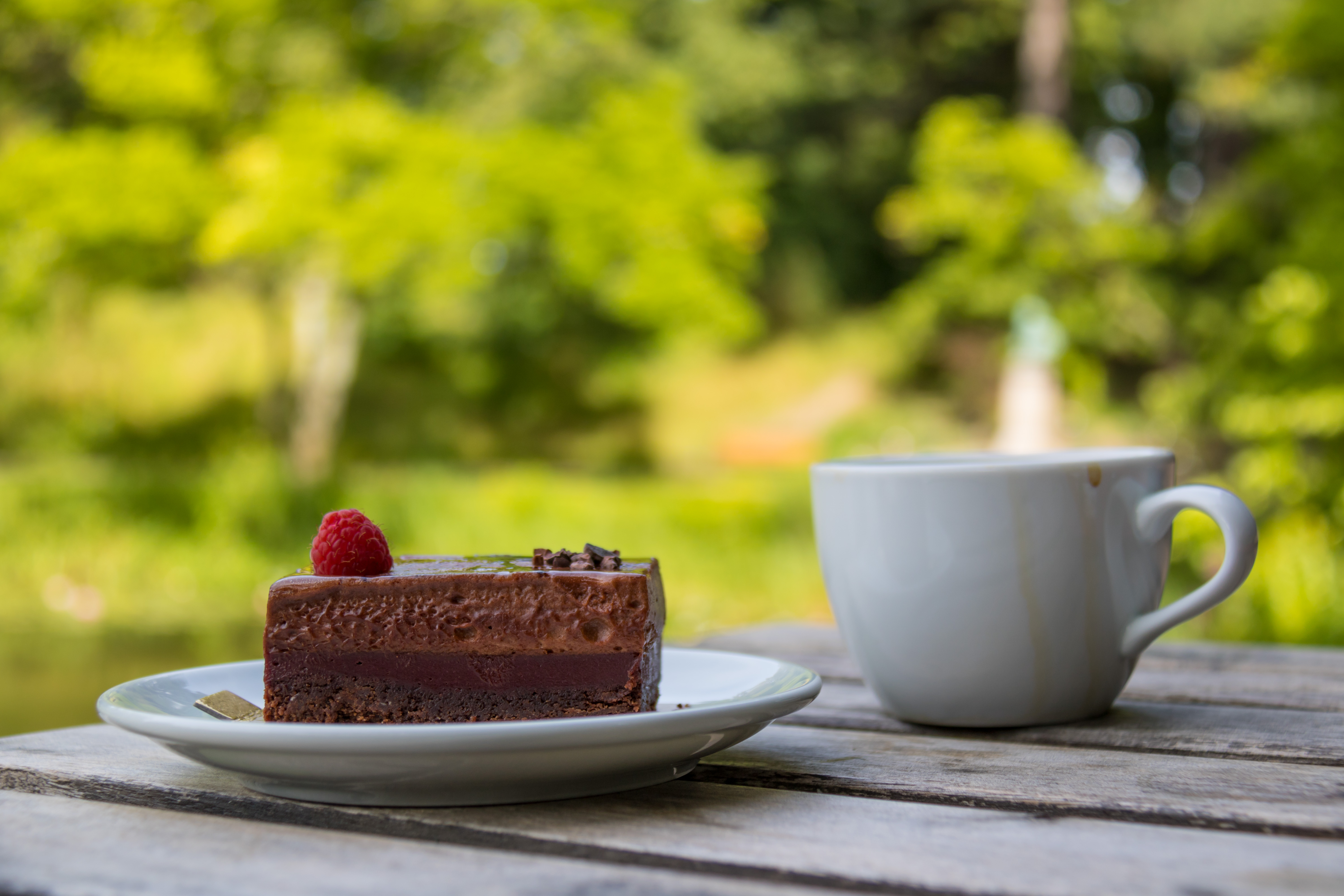 Cake Raspberry Berry Chocolate Dessert