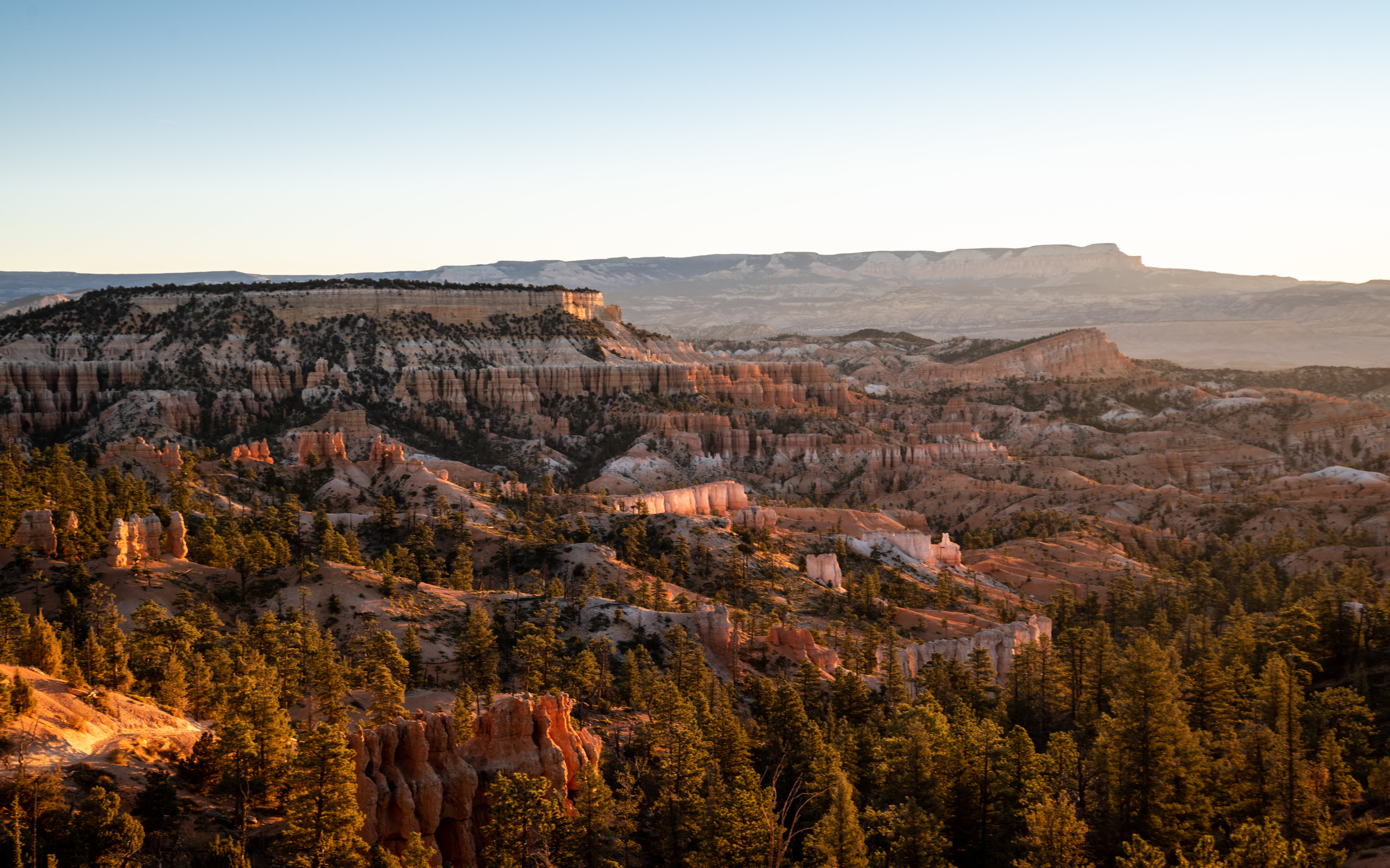 Canyon Rocks Trees Nature Landscape