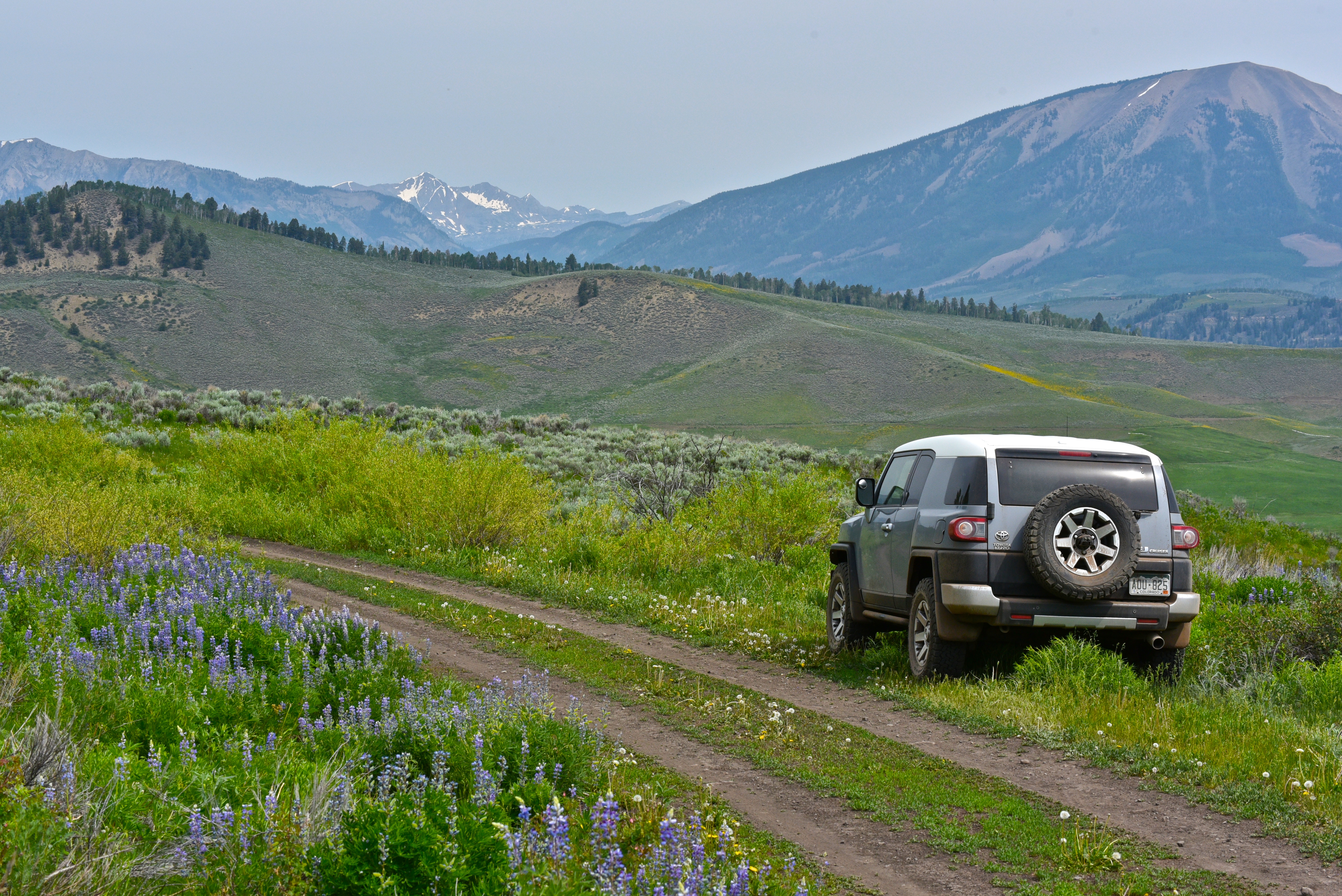 Car Suv Gray Field Path