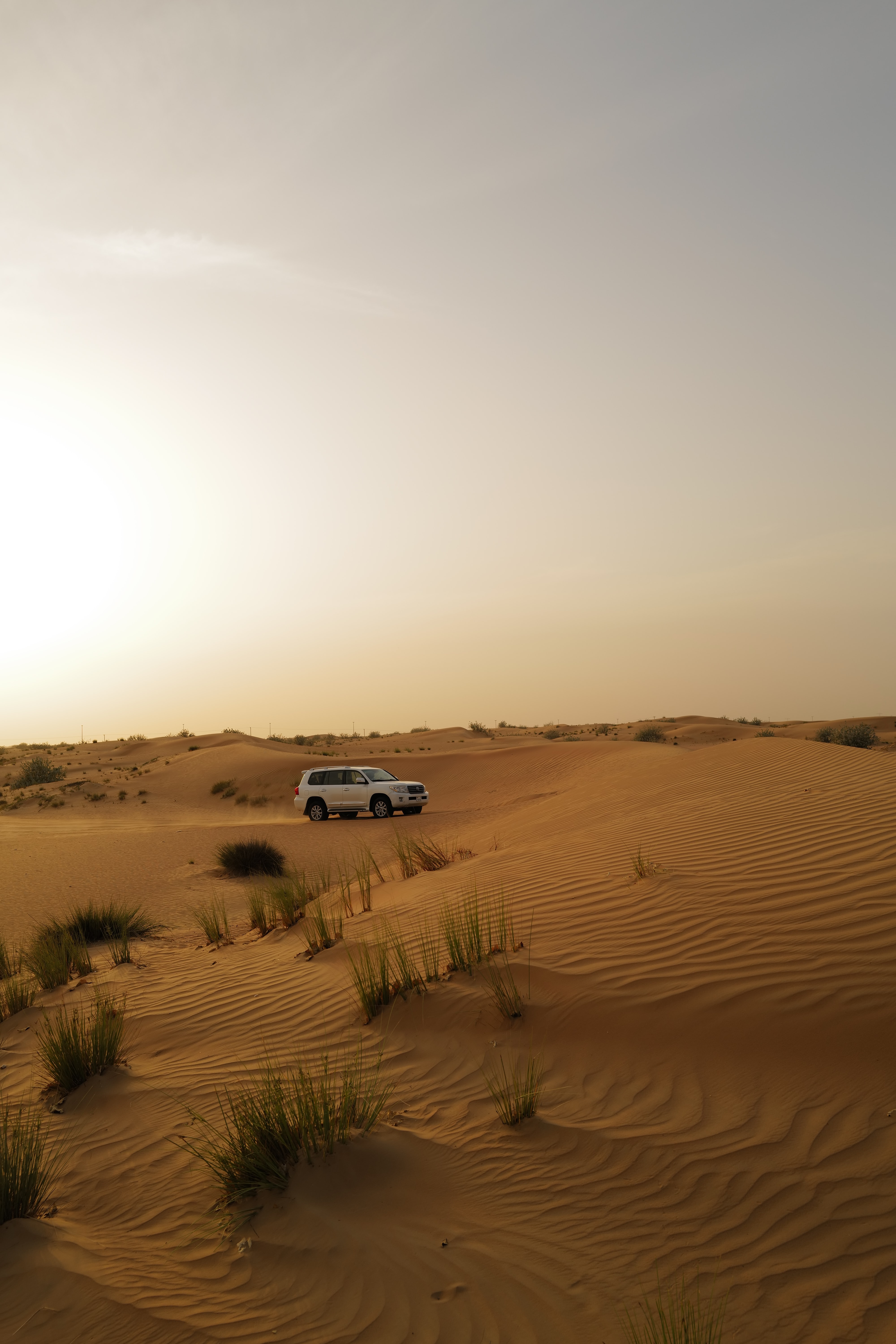 Car Suv White Desert Sand