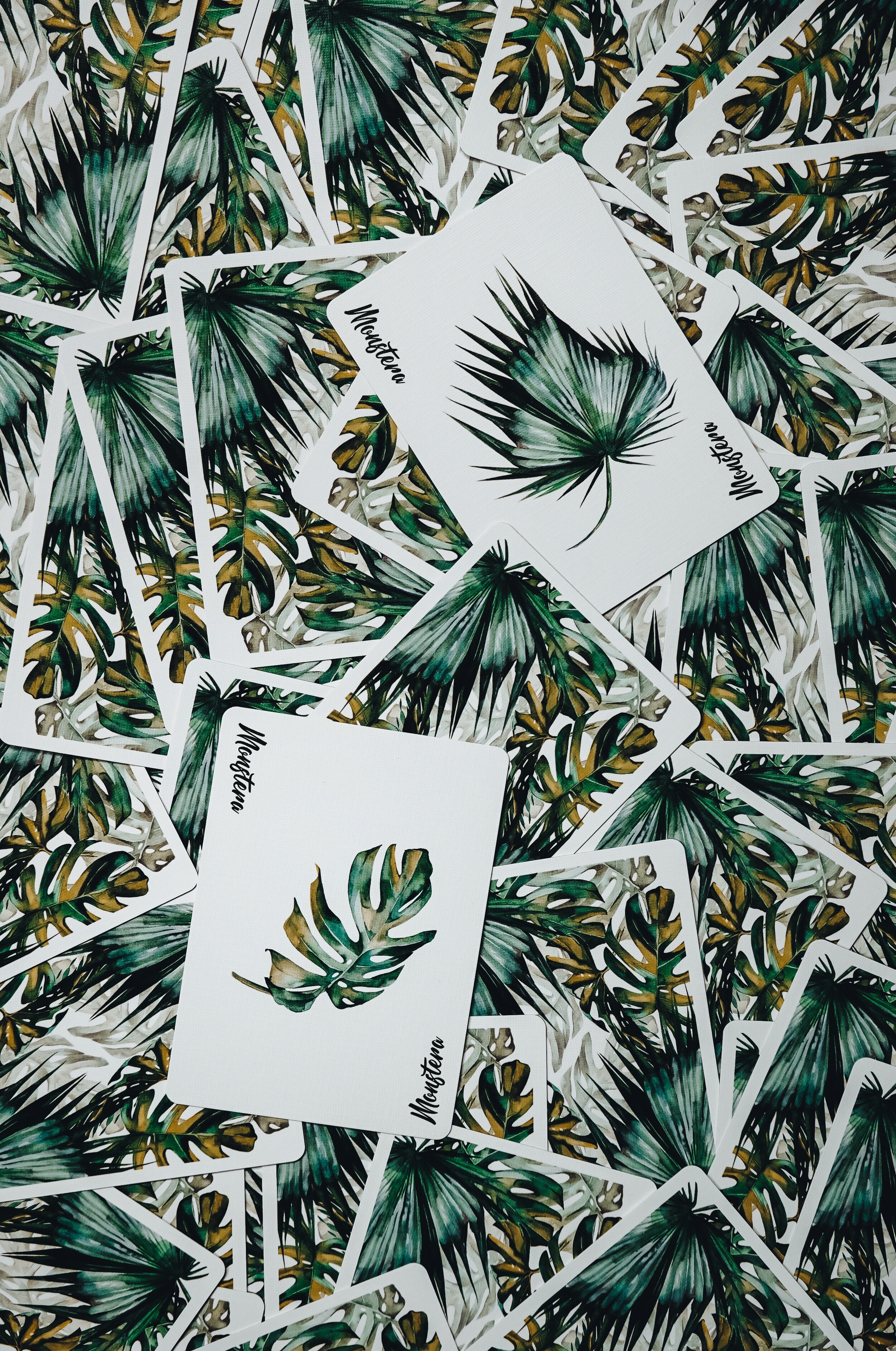 Cards Deck Leaves Green Aesthetics