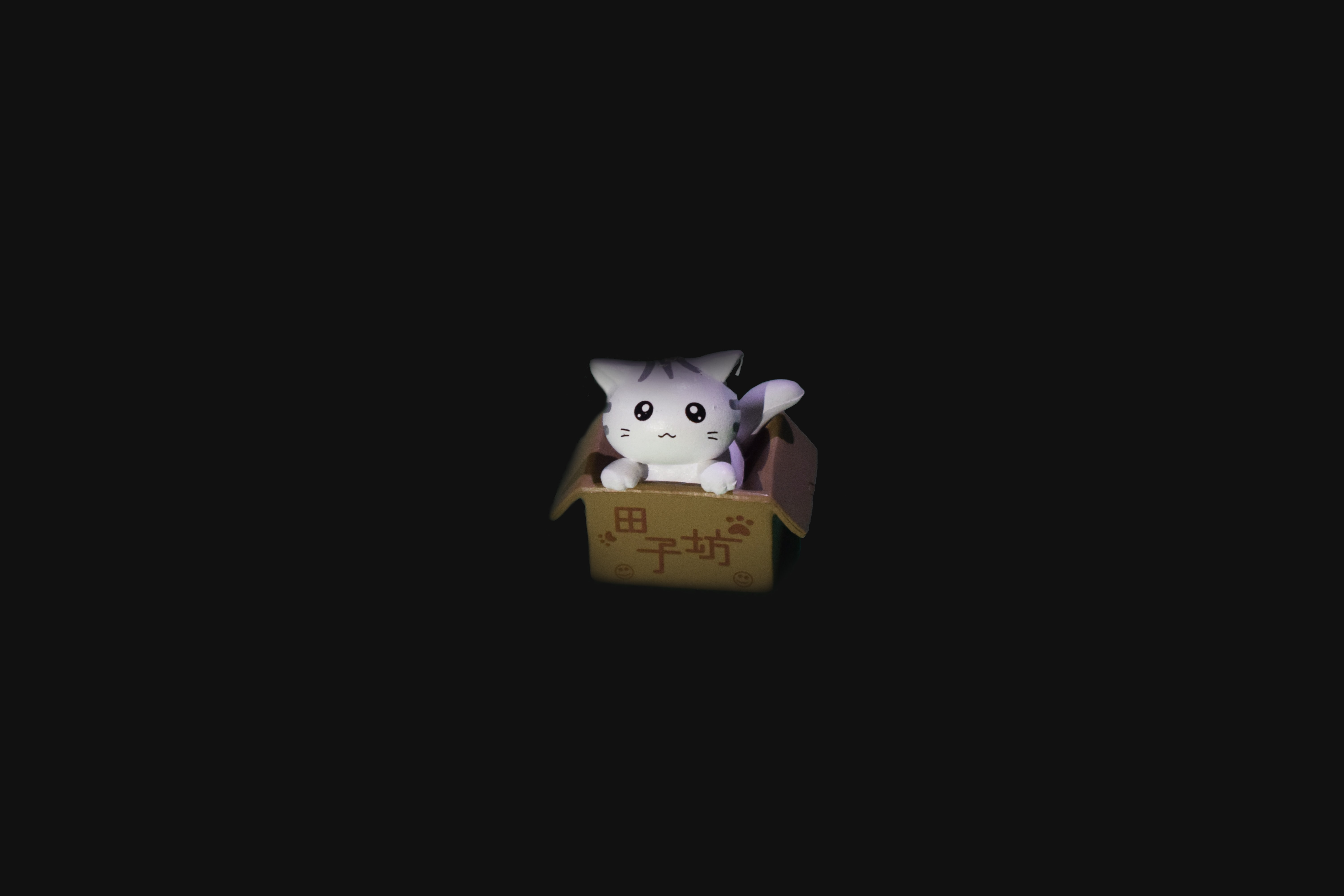 Cat Box Toy Dark