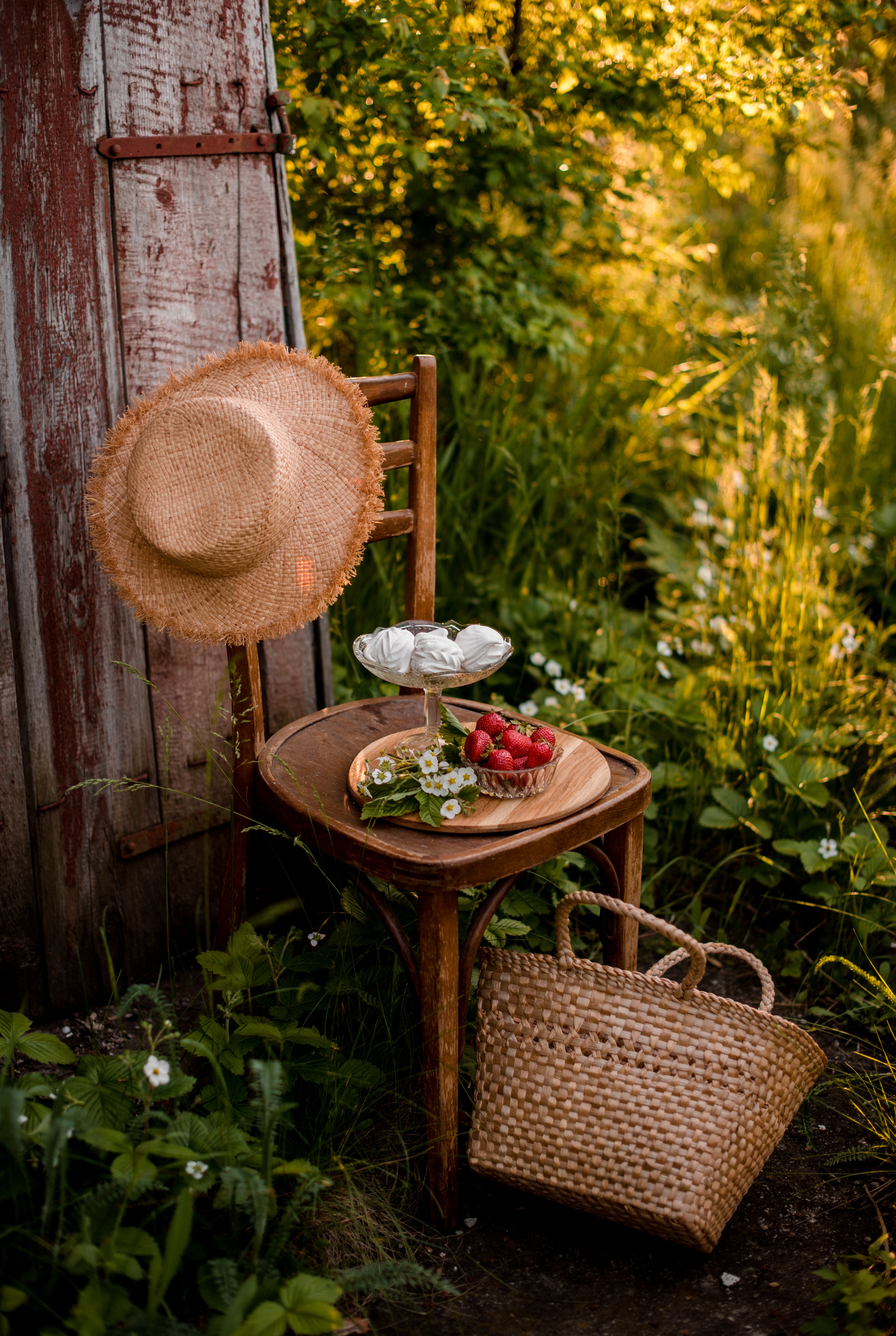 Chair Berries Marshmallows Dessert Picnic Nature