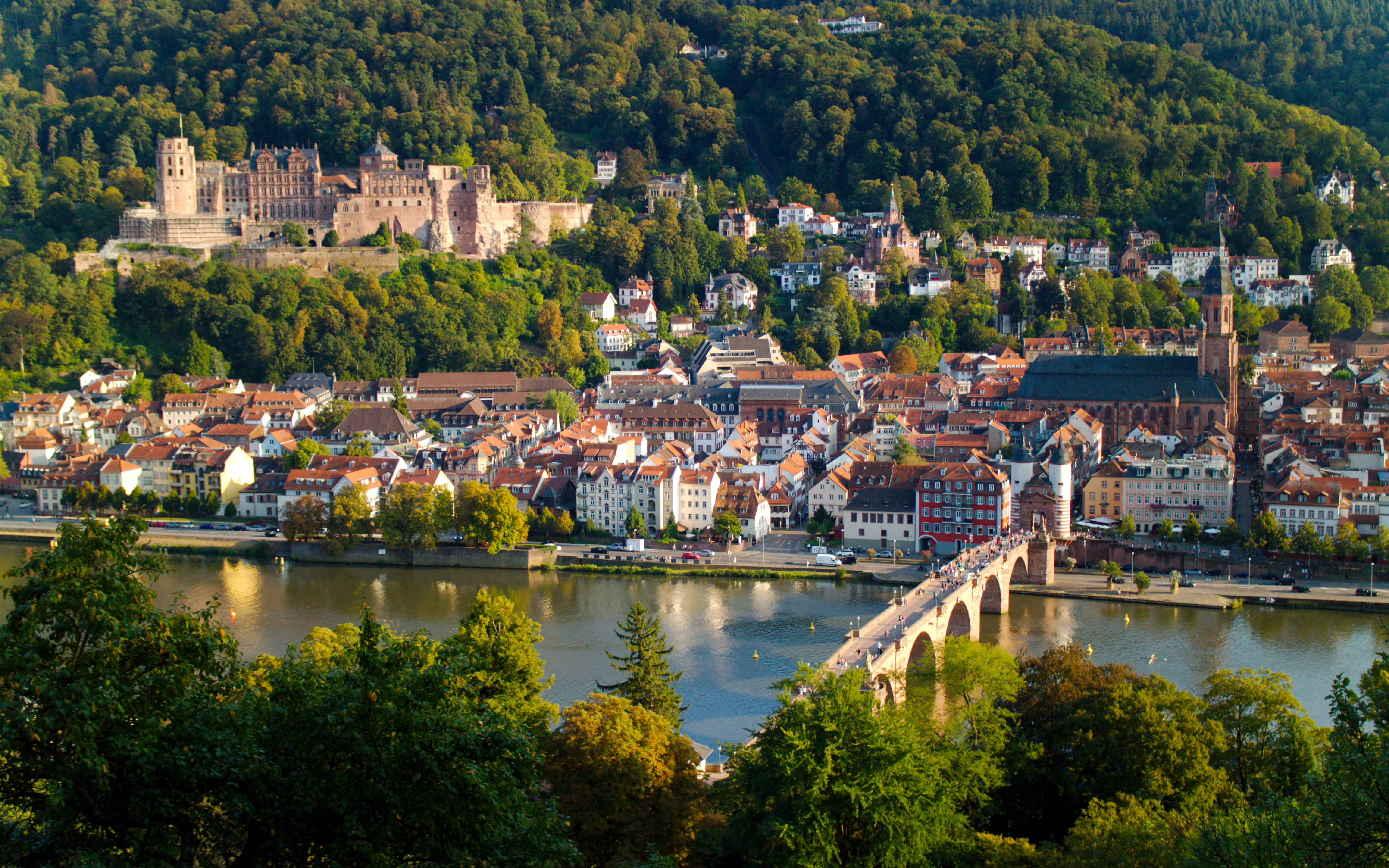 City Buildings Bridge River Trees Aerial-view