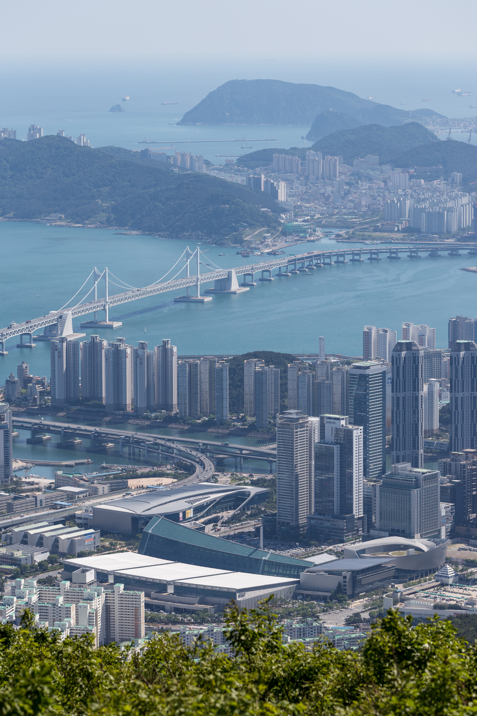 City Buildings Bridge Water Aerial-view