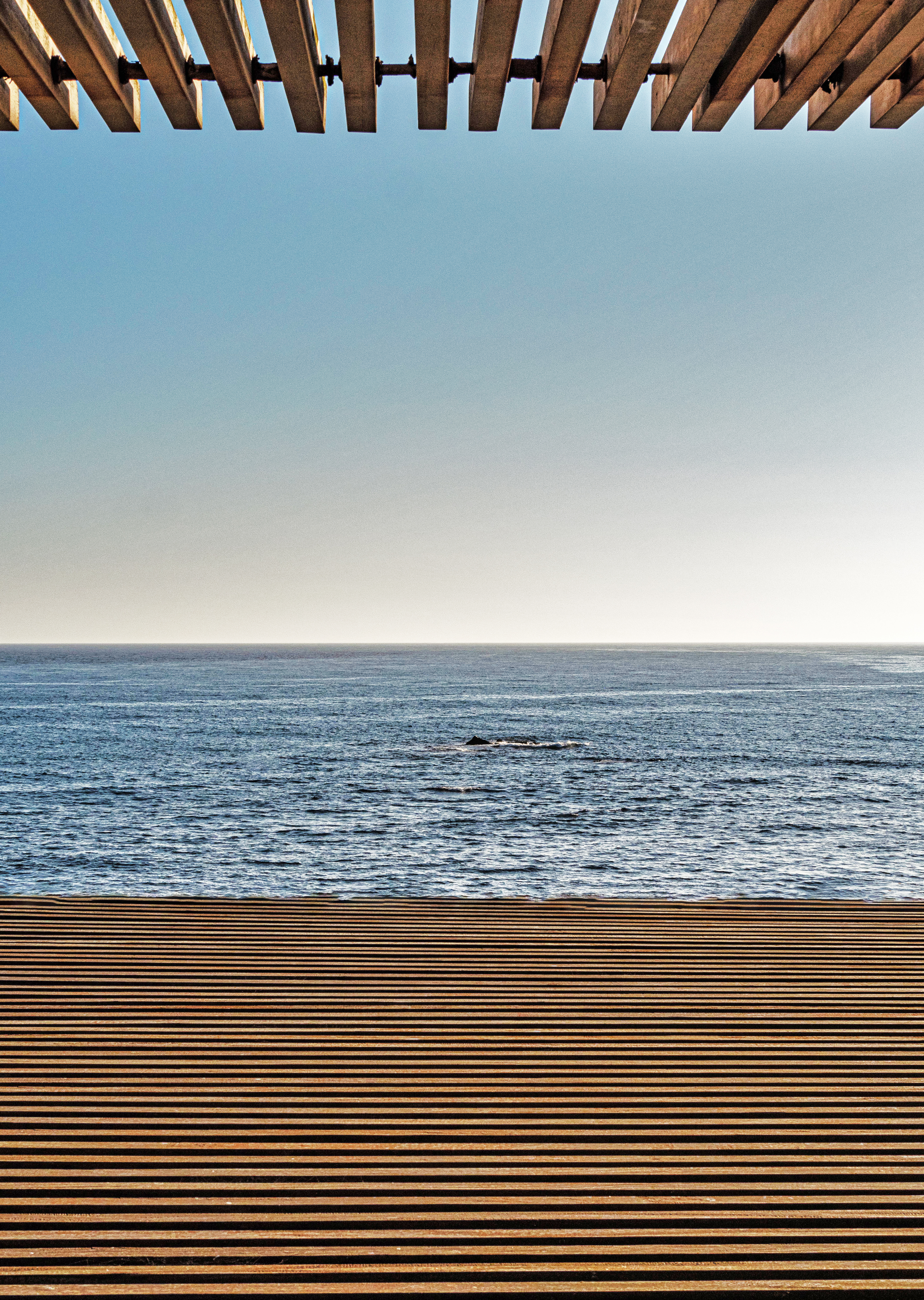 Coast Terrace Sea Water Landscape