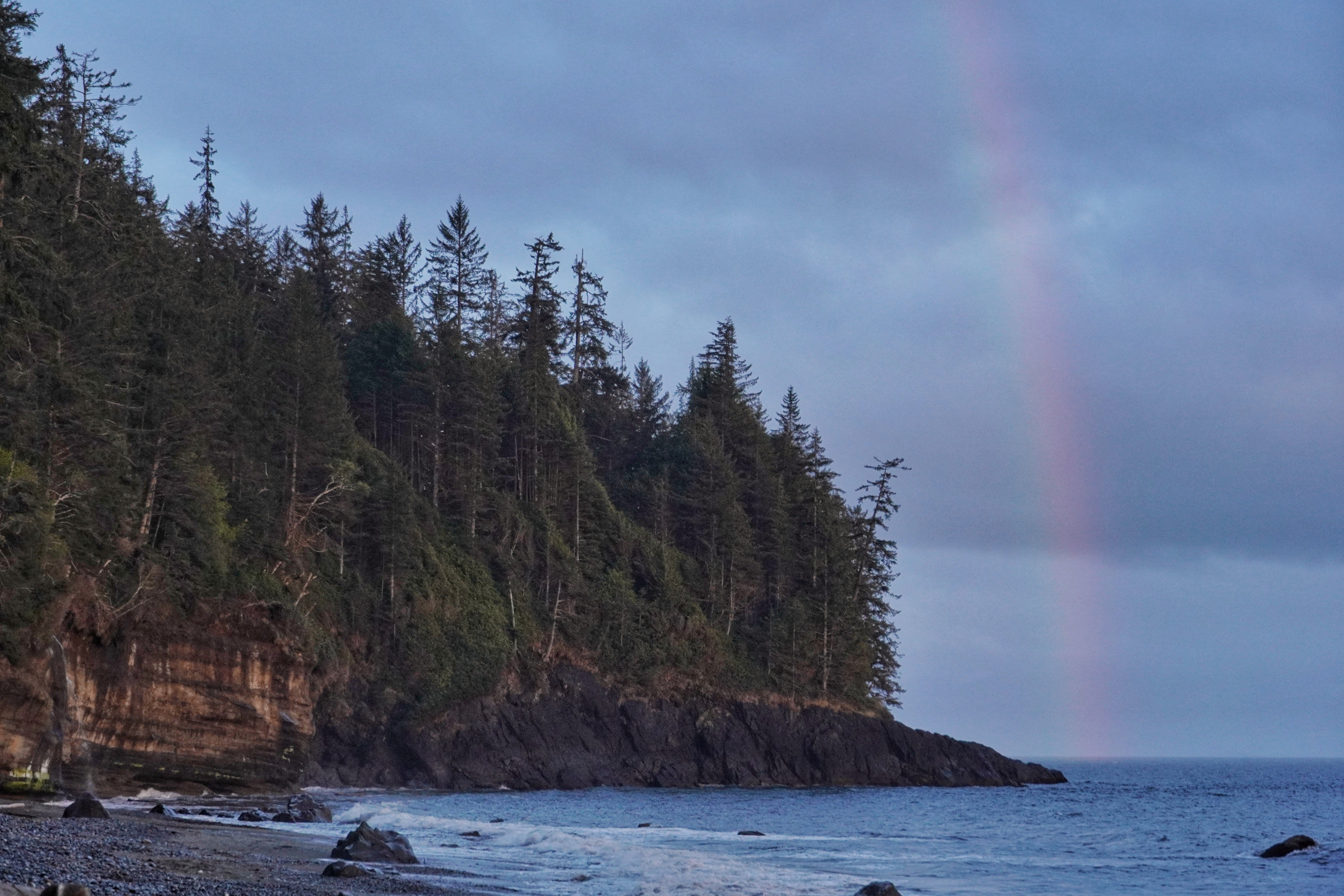 Coast Trees Forest Water Rainbow Landscape