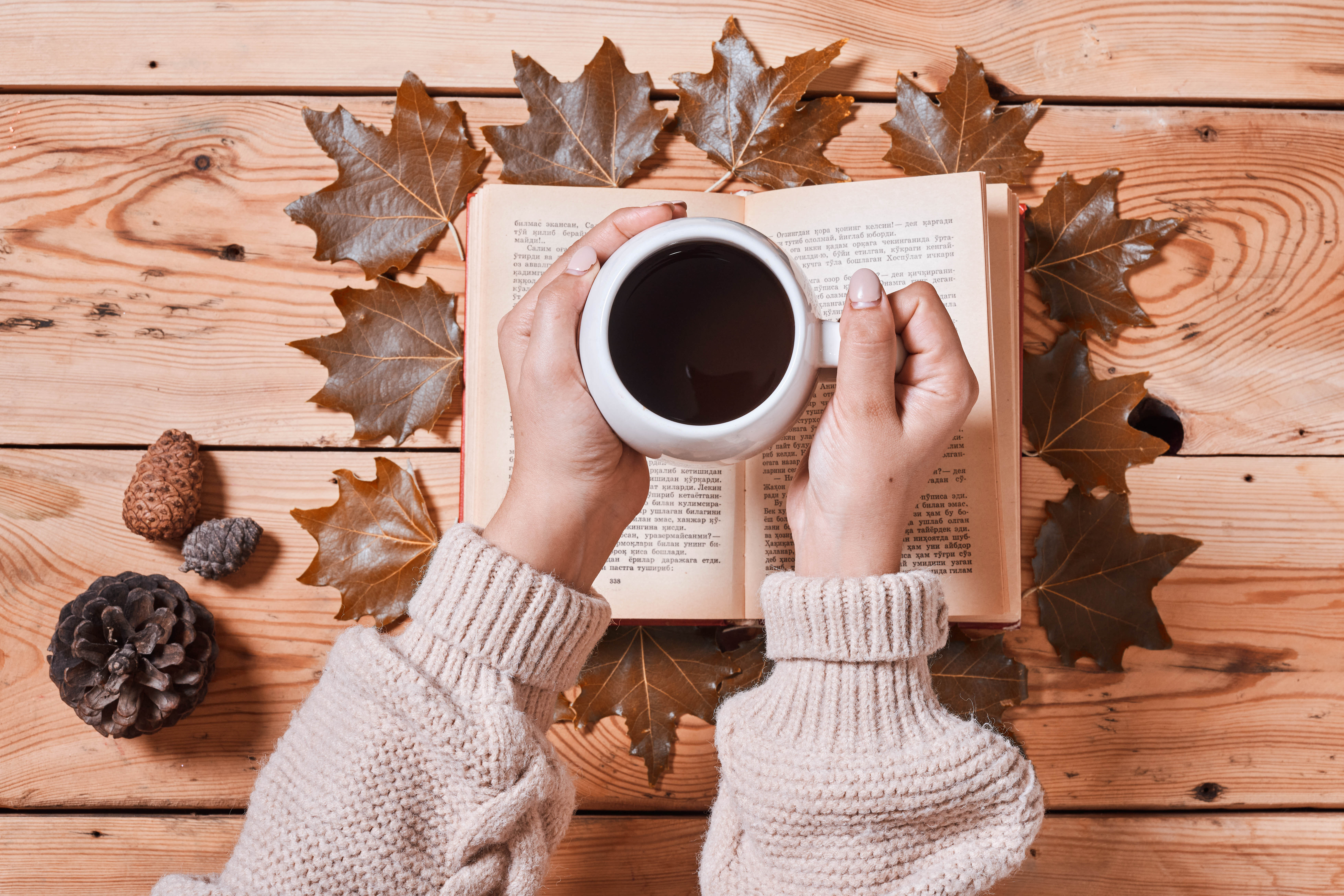 Coffee Drink Cup Hands Book Autumn Cozy