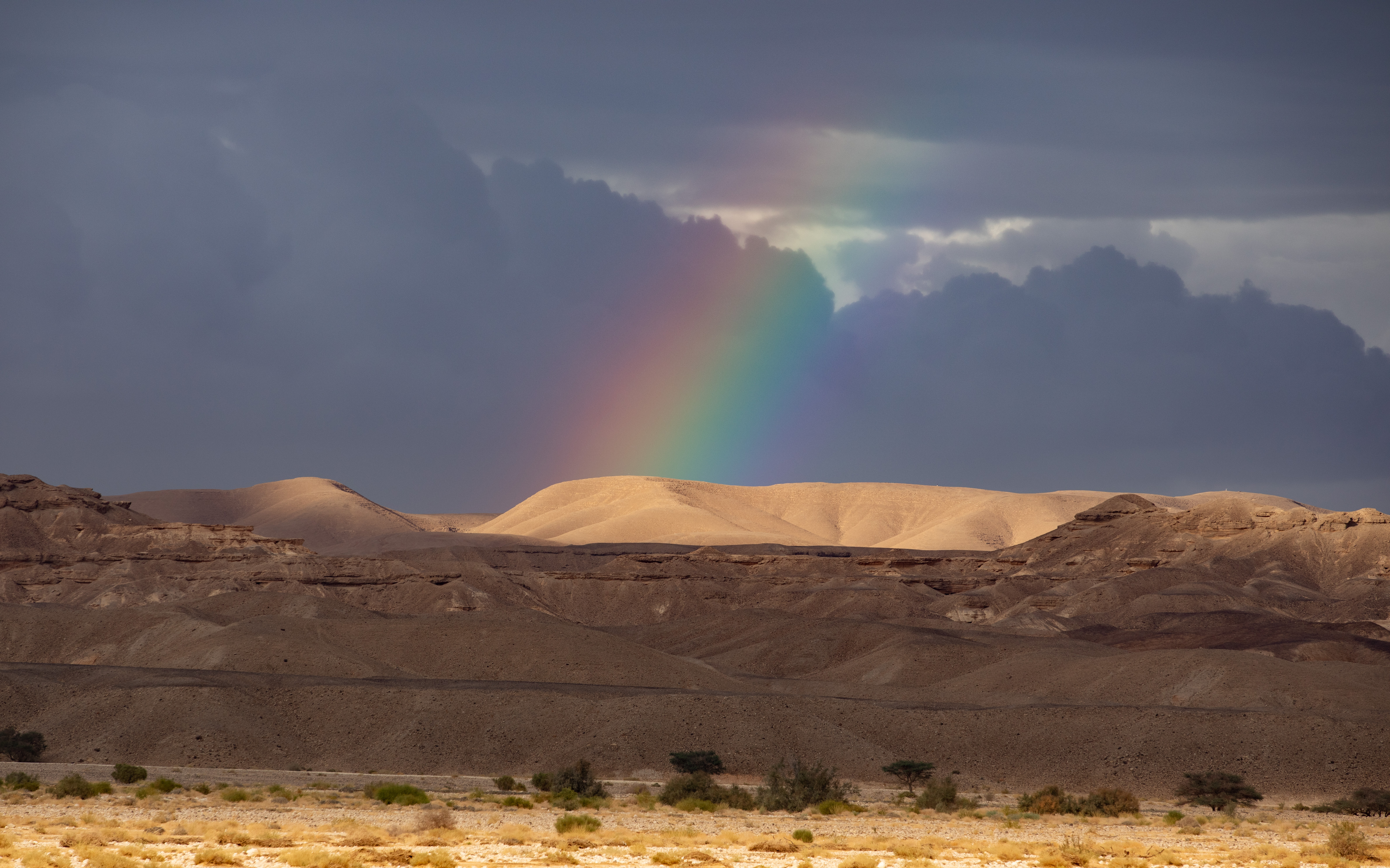 Desert Hills Rainbow Landscape