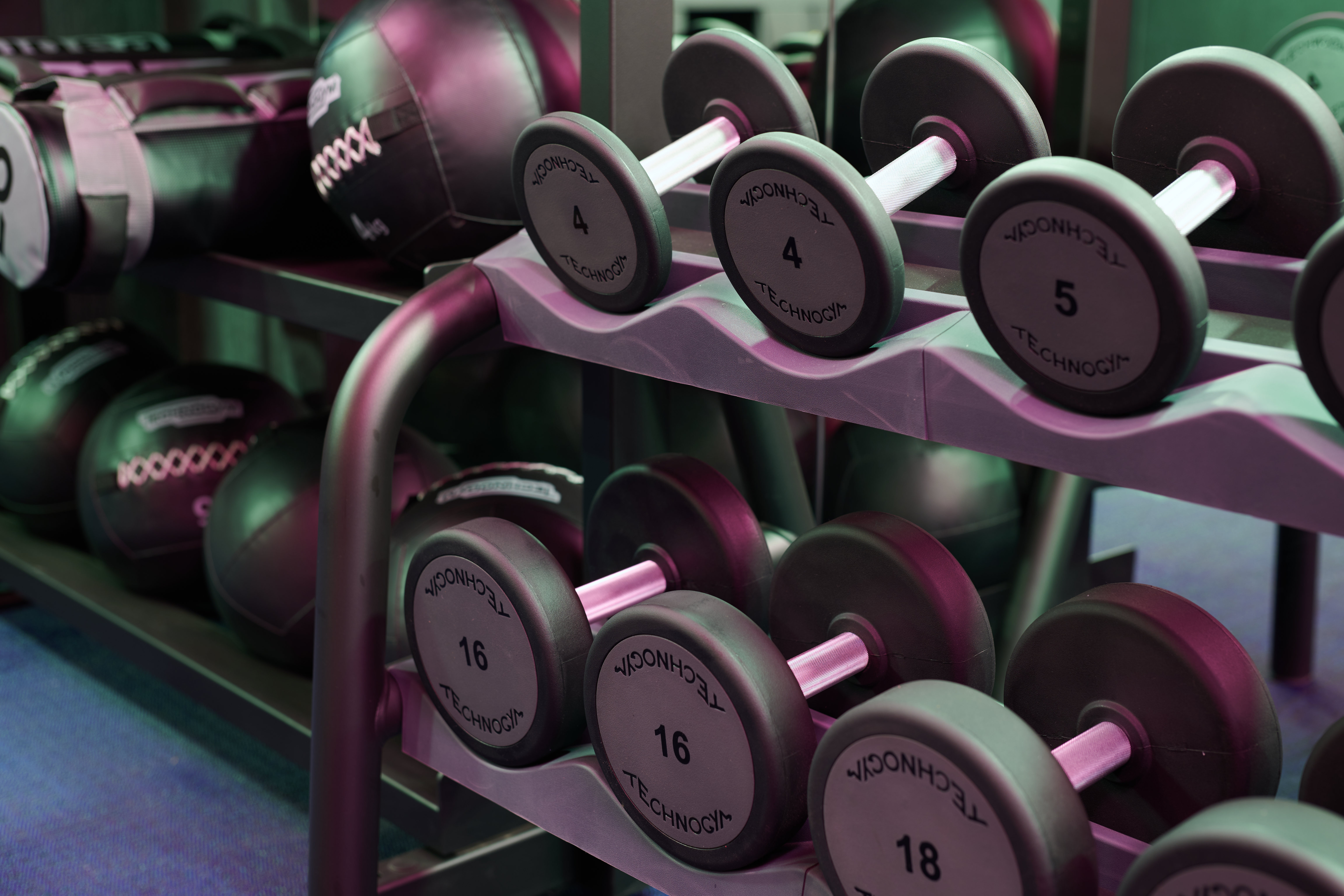 Dumbbells Gym Fitness Sport