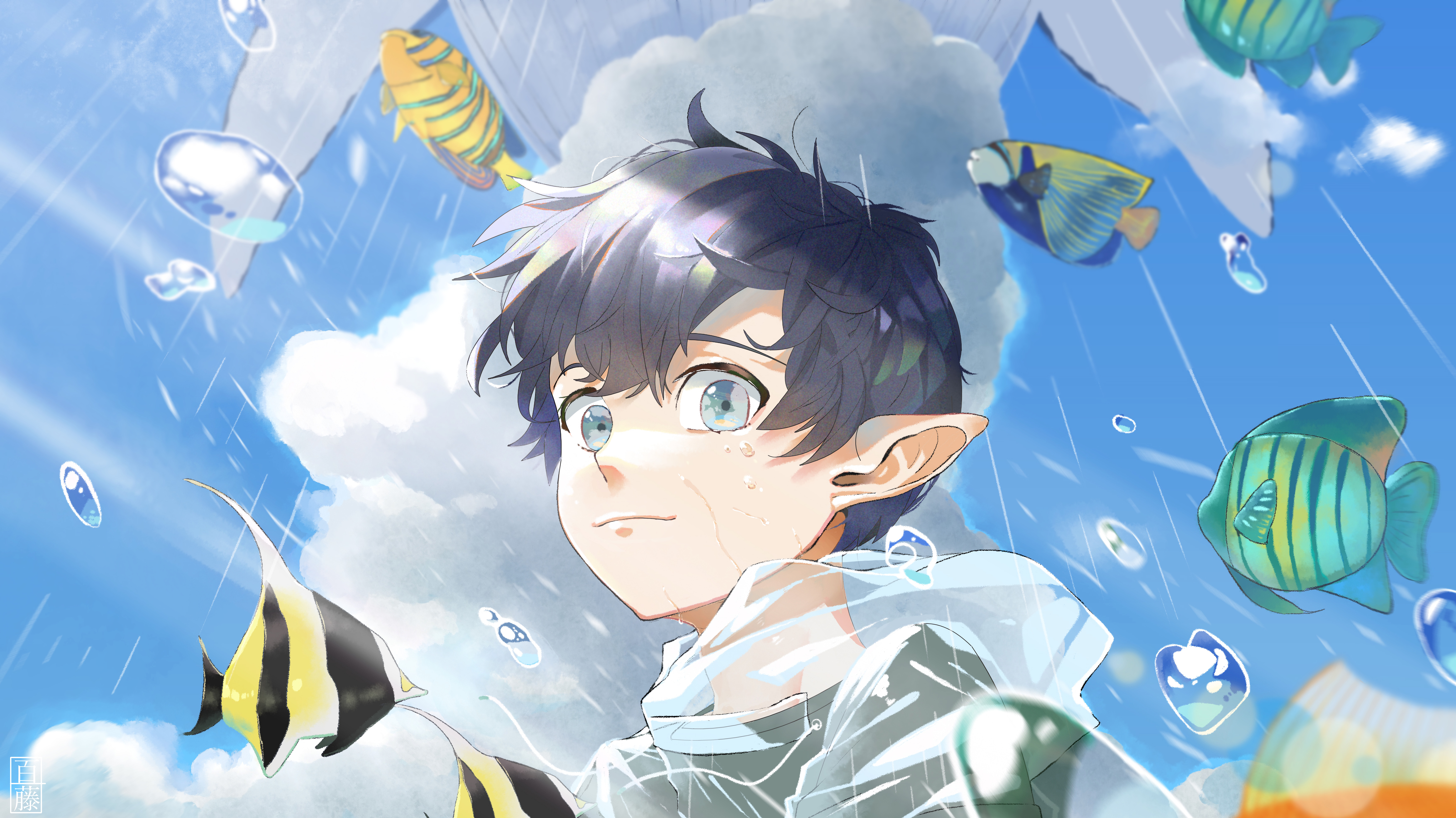 Elf Boy Water Fish Anime