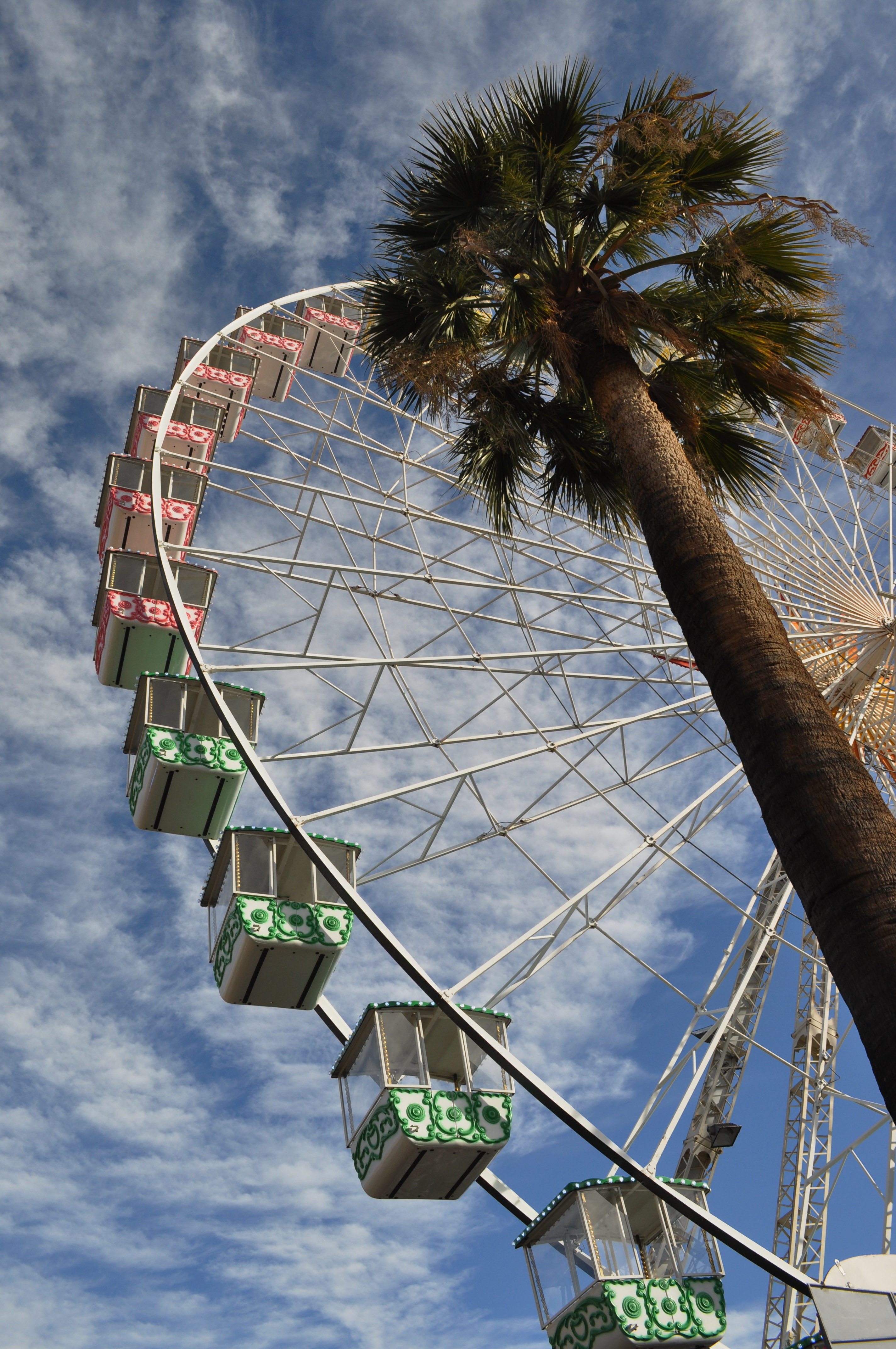 Ferris-wheel Attraction Palm-trees Bottom-view