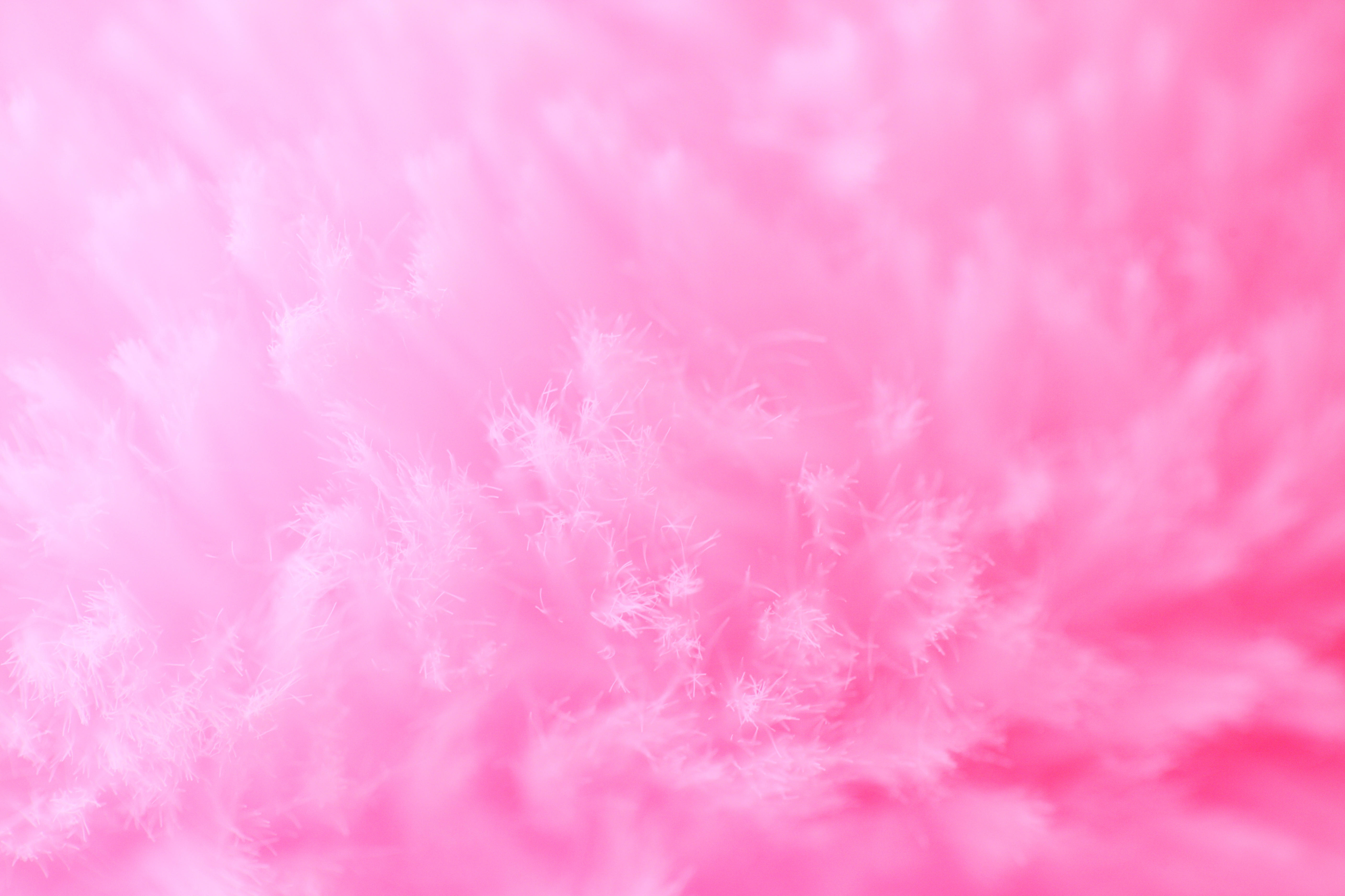 Fibers Macro Structure Pink