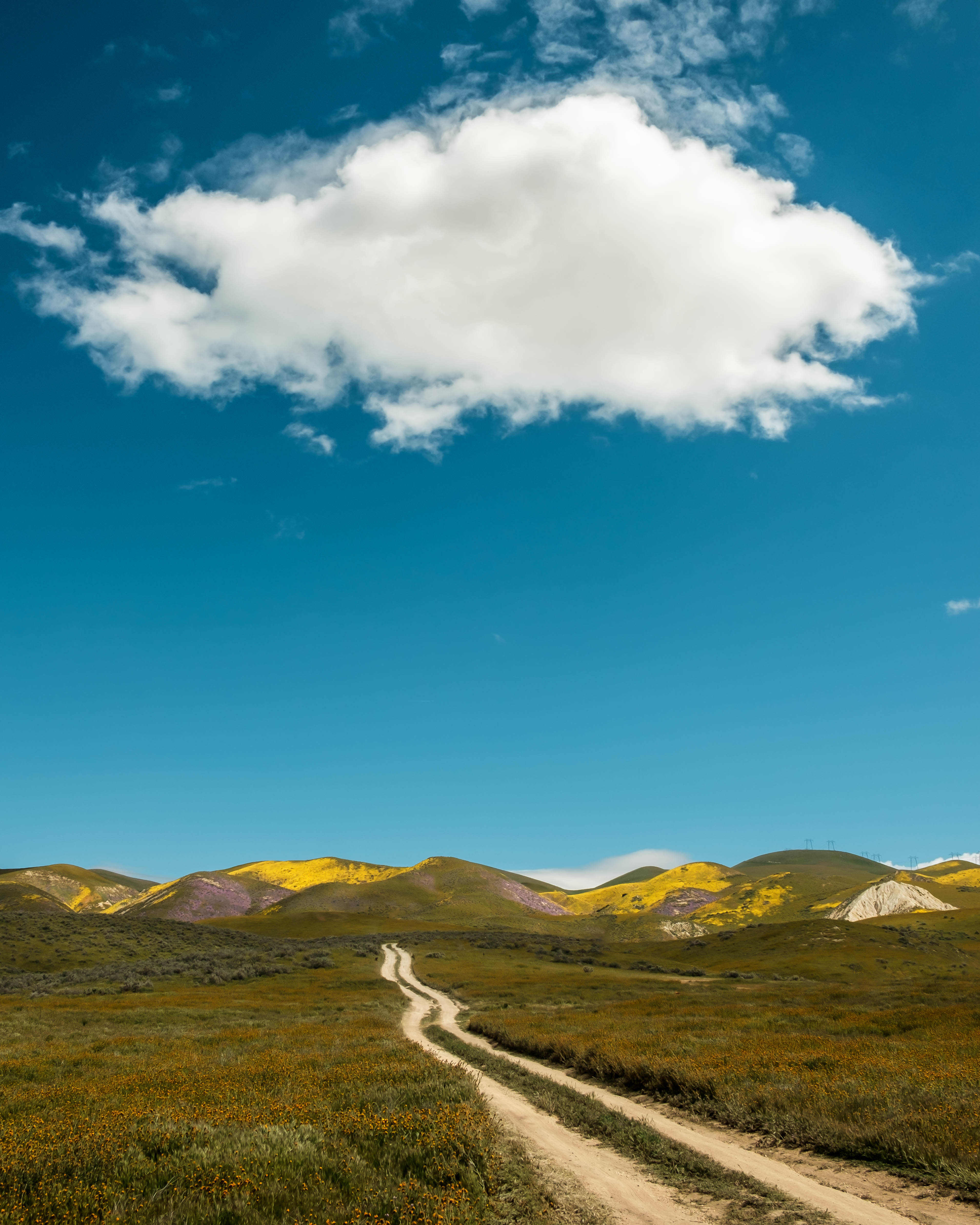 Field Hills Path Landscape Nature