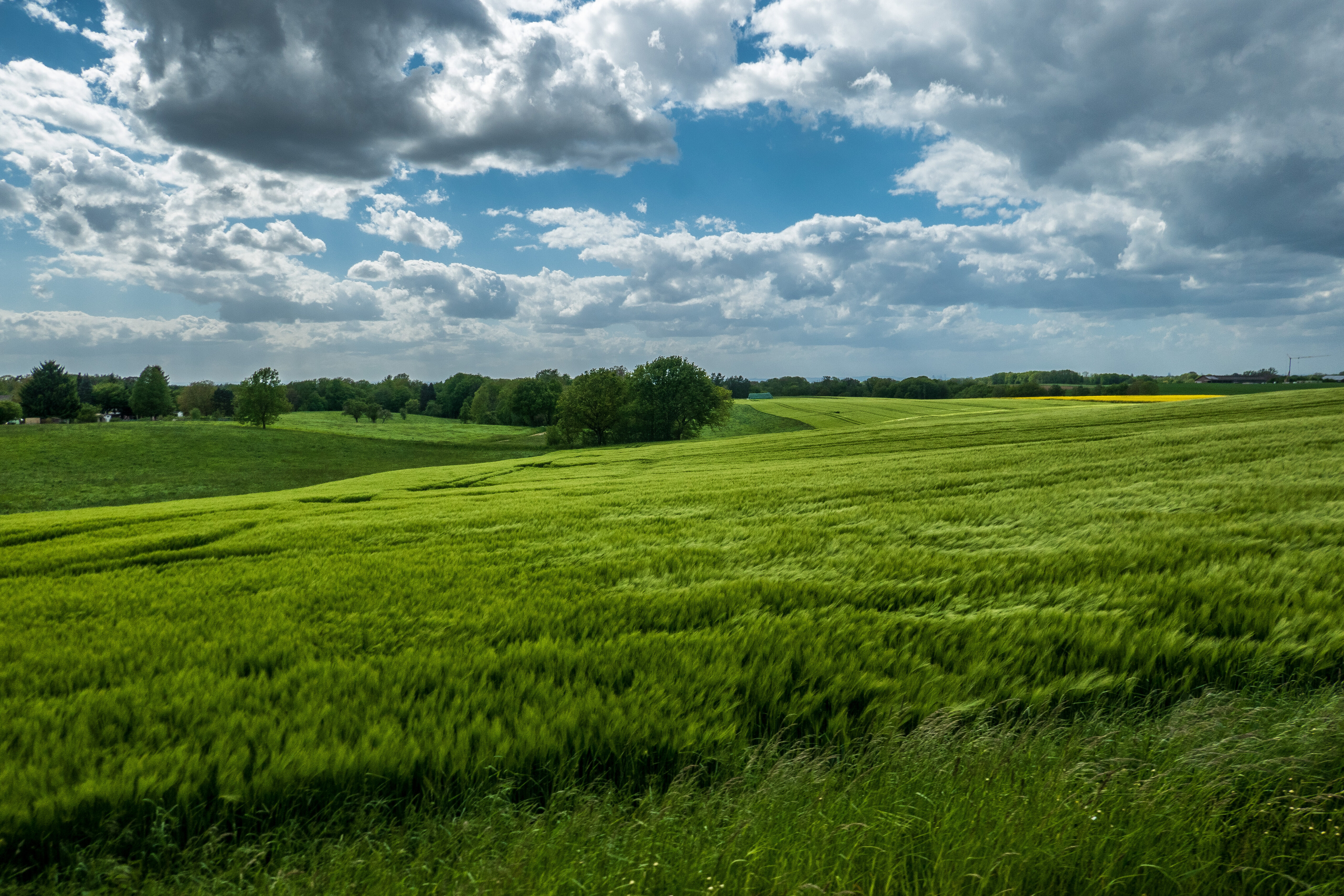 Field Hills Trees Landscape Nature Green