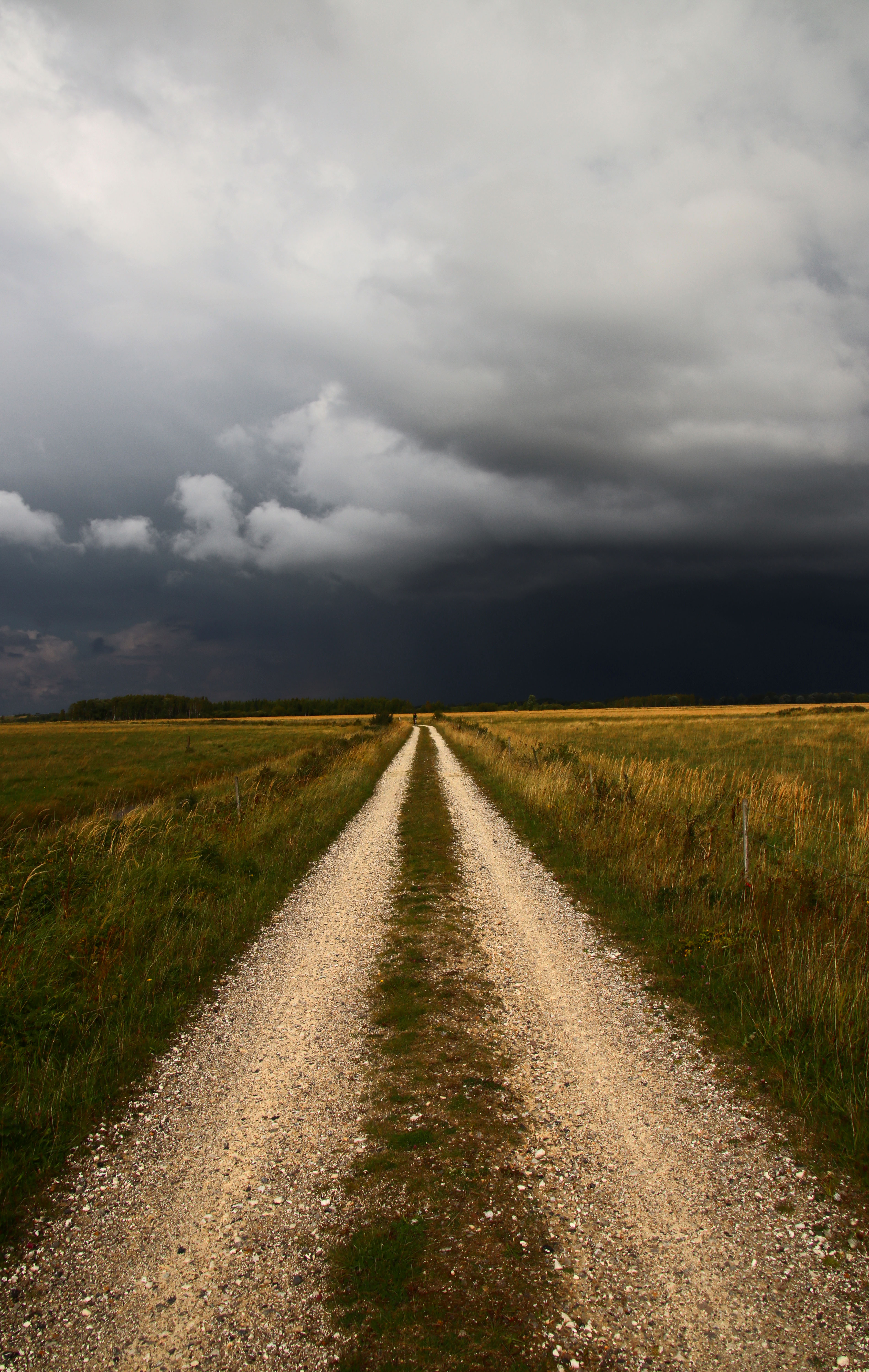 Field Road Clouds Landscape