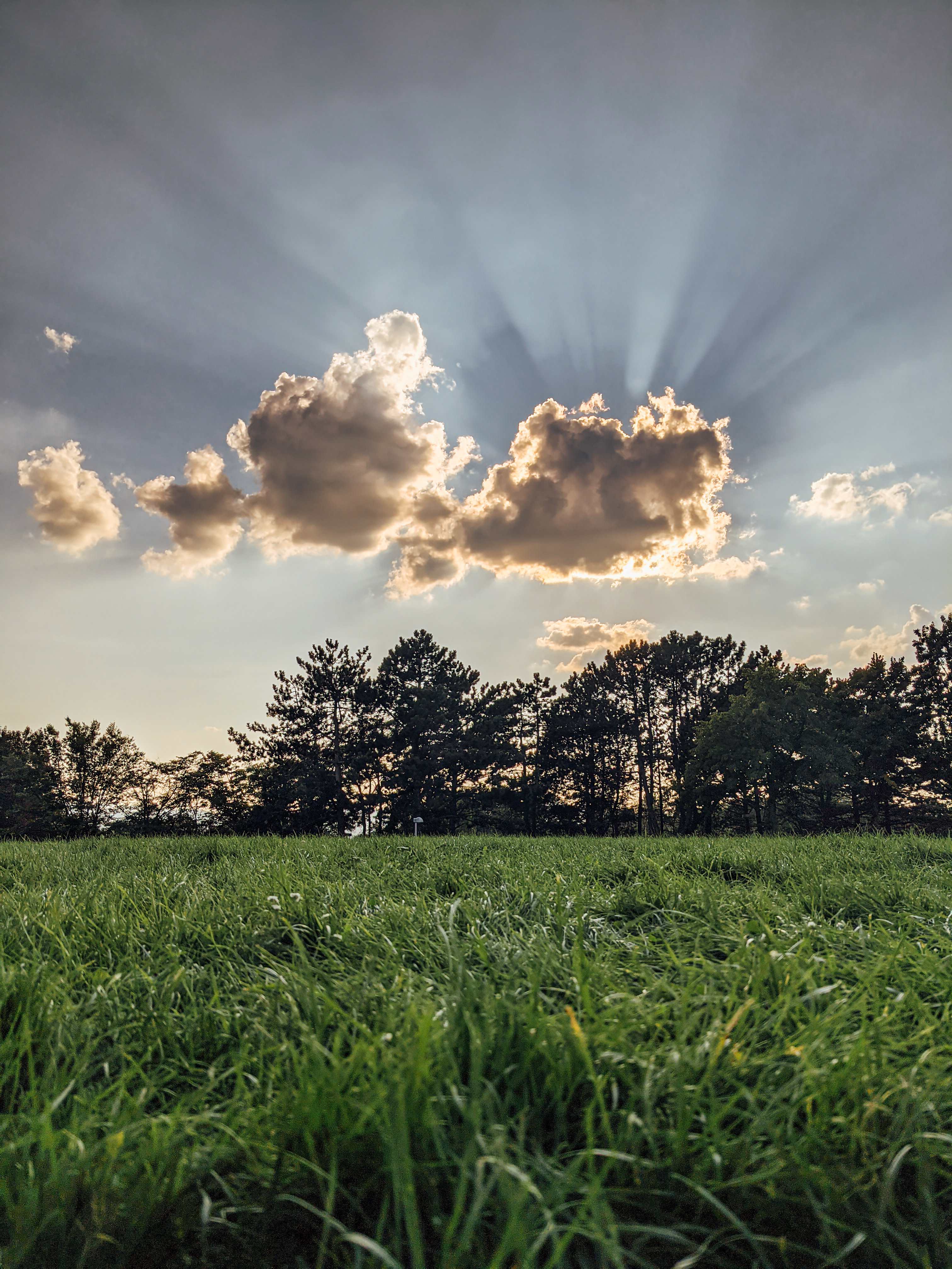 Field Trees Clouds Rays Light Landscape