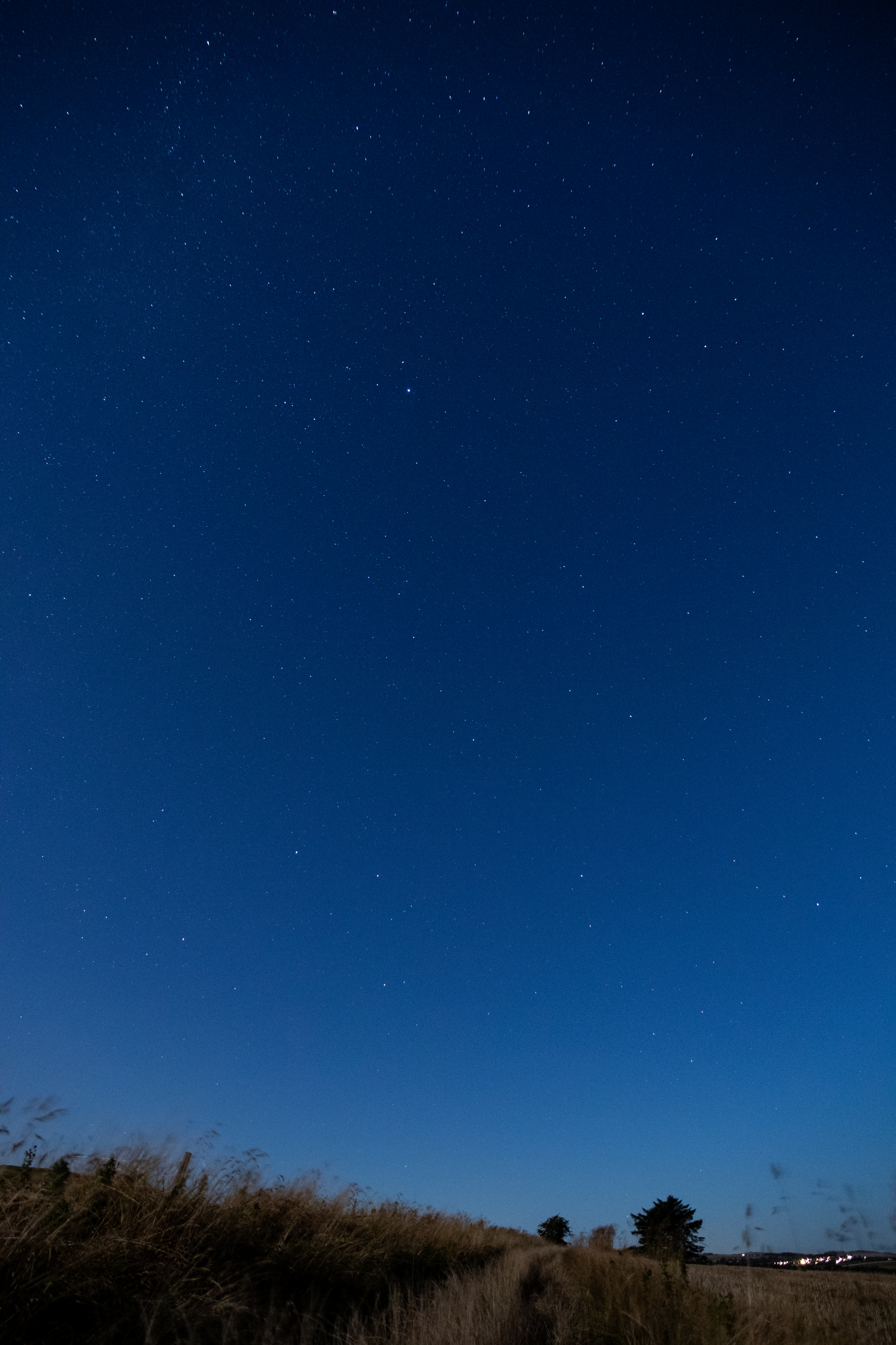 Field Trees Sky Stars Twilight Landscape