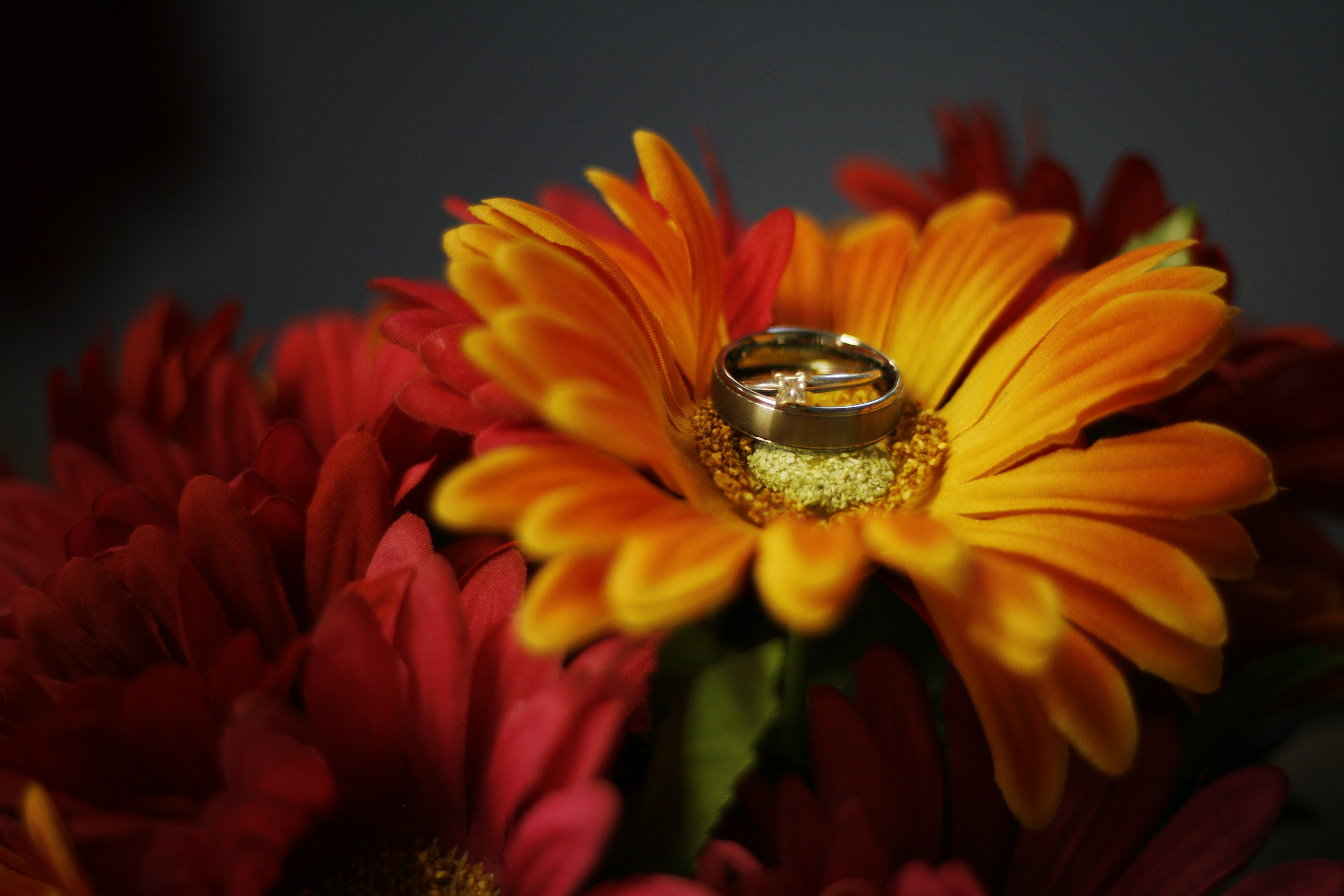 Flower Petals Wedding-rings Wedding