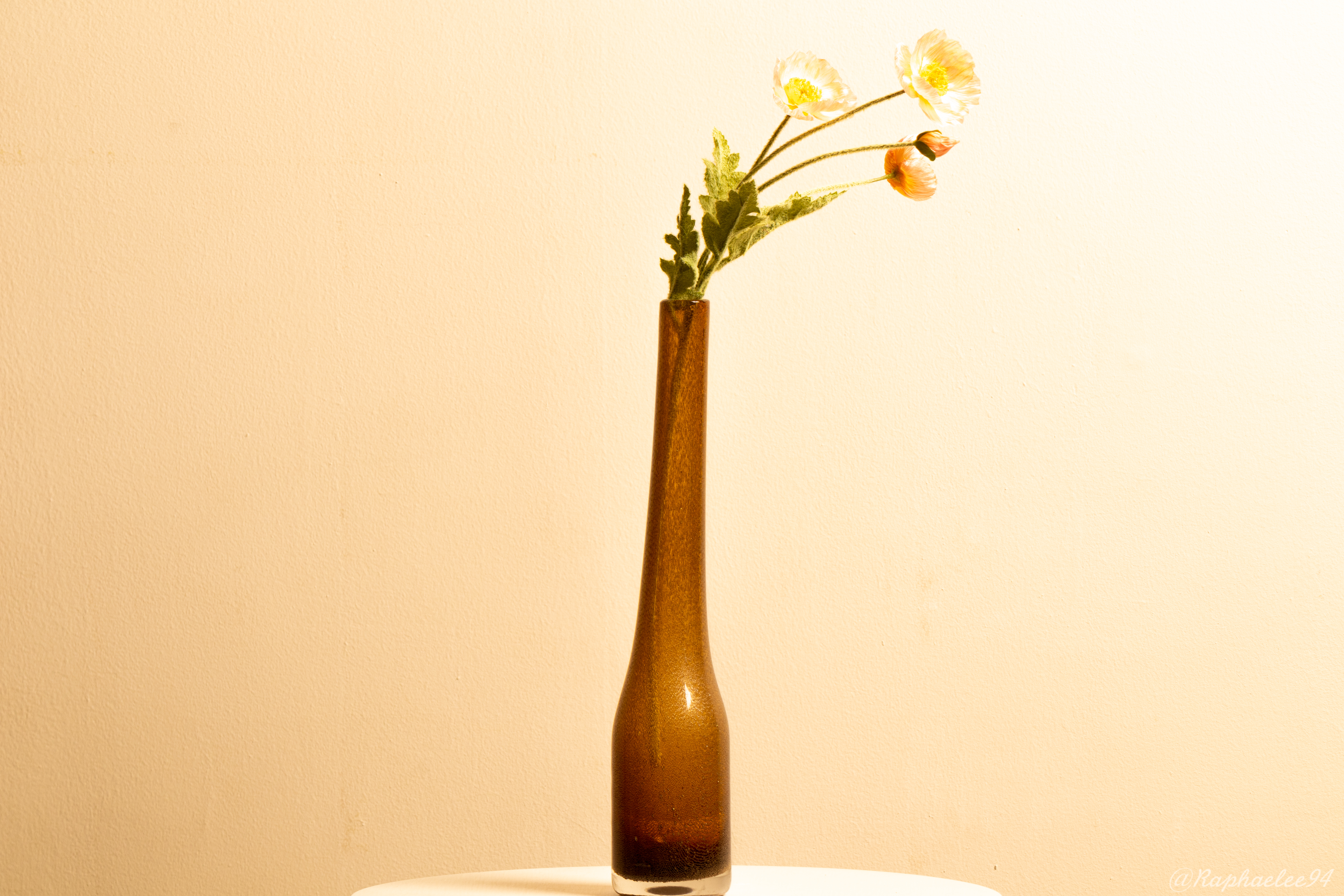 Flowers Vase Decor Aesthetics