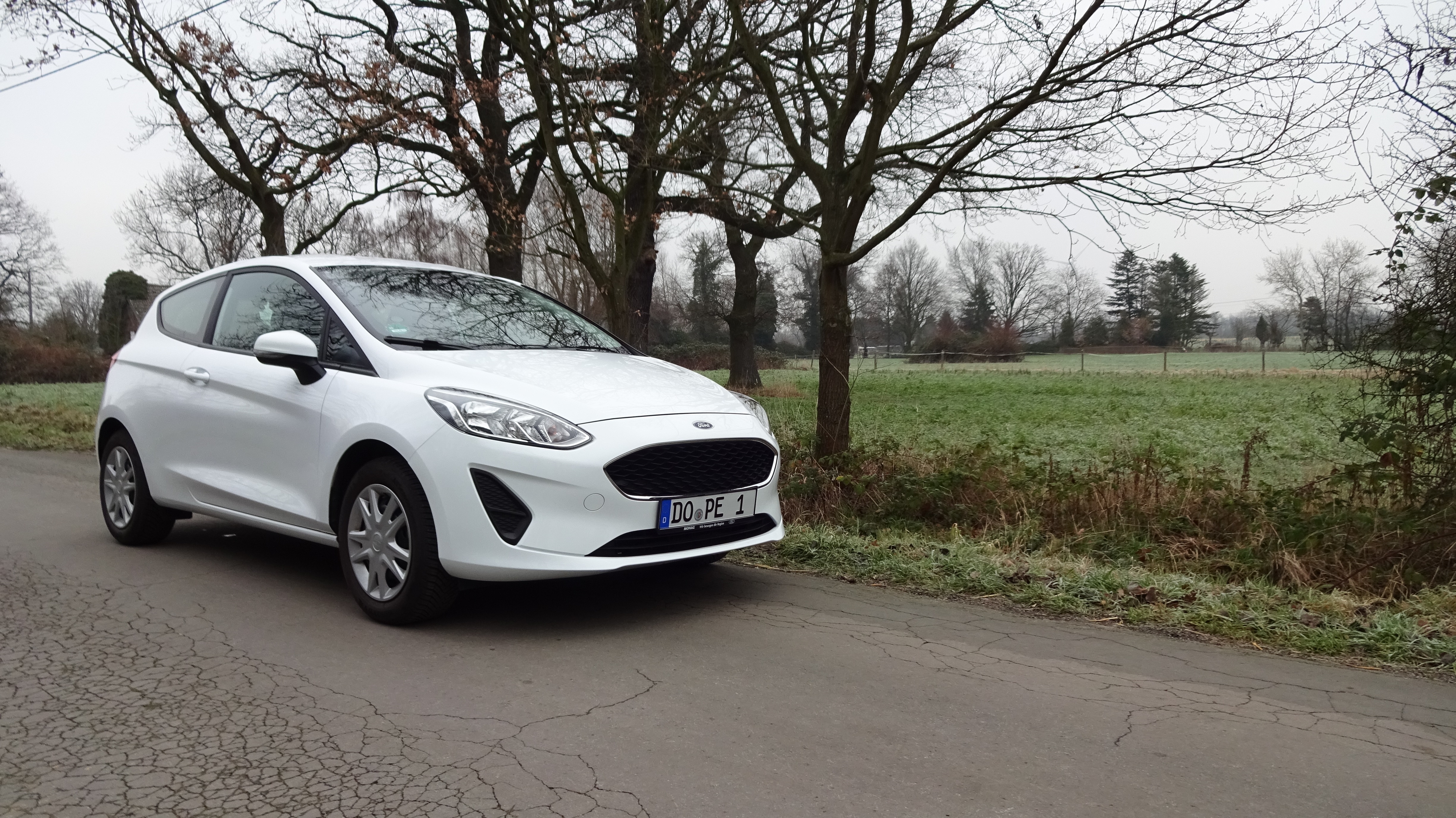 Ford Car White Road Trees