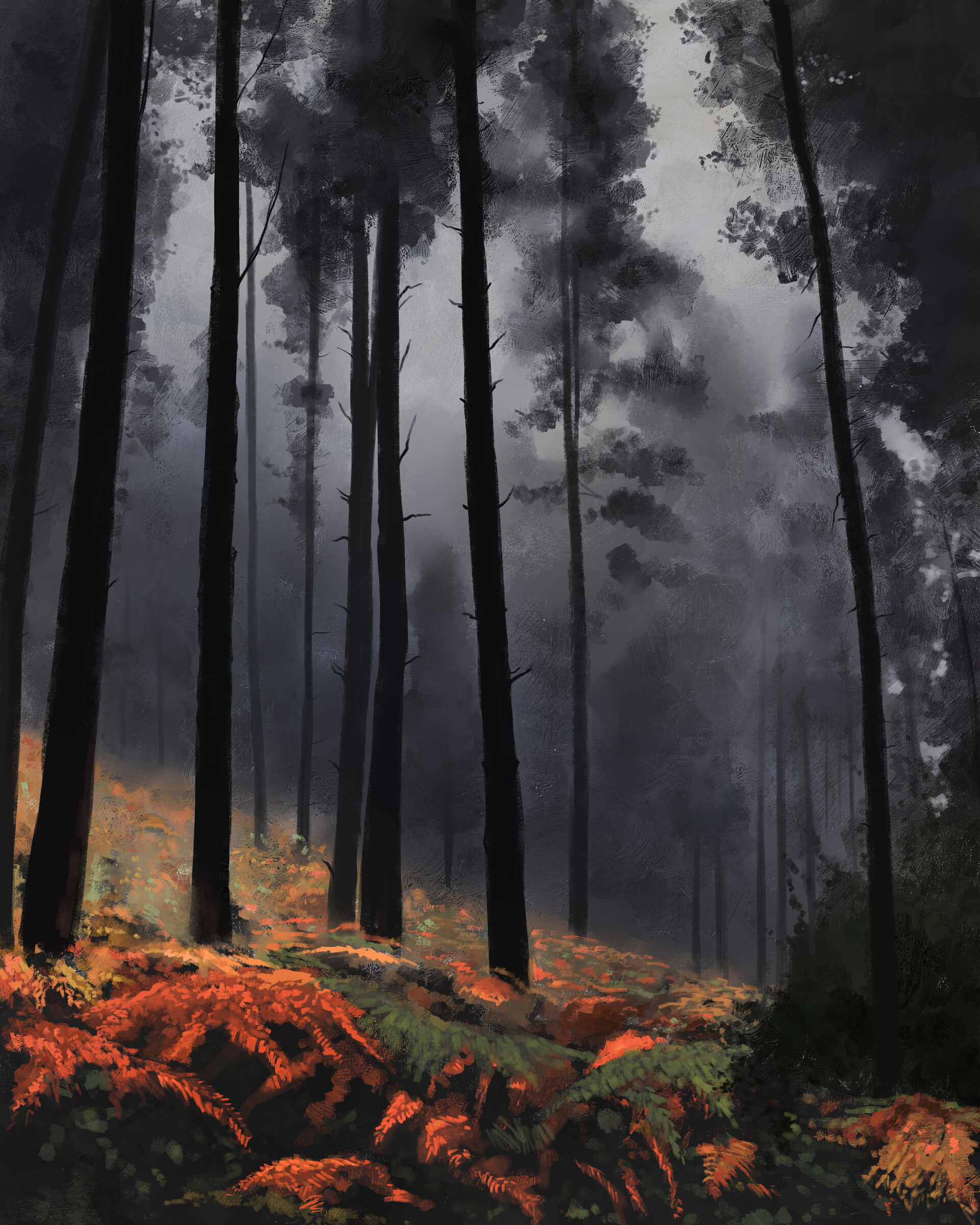 Forest Trees Fern Landscape Nature Art