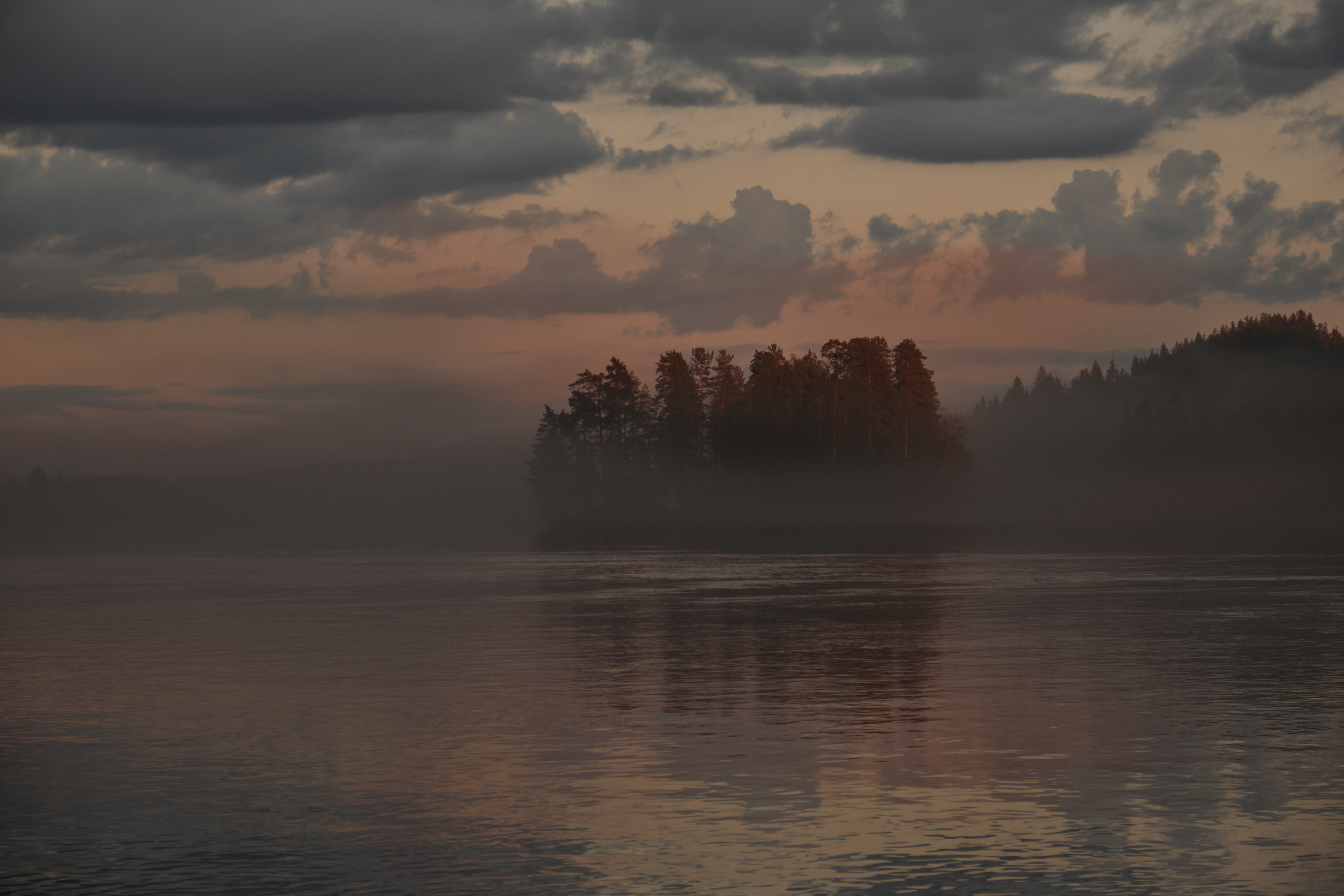 Forest Trees Fog Lake Twilight Landscape