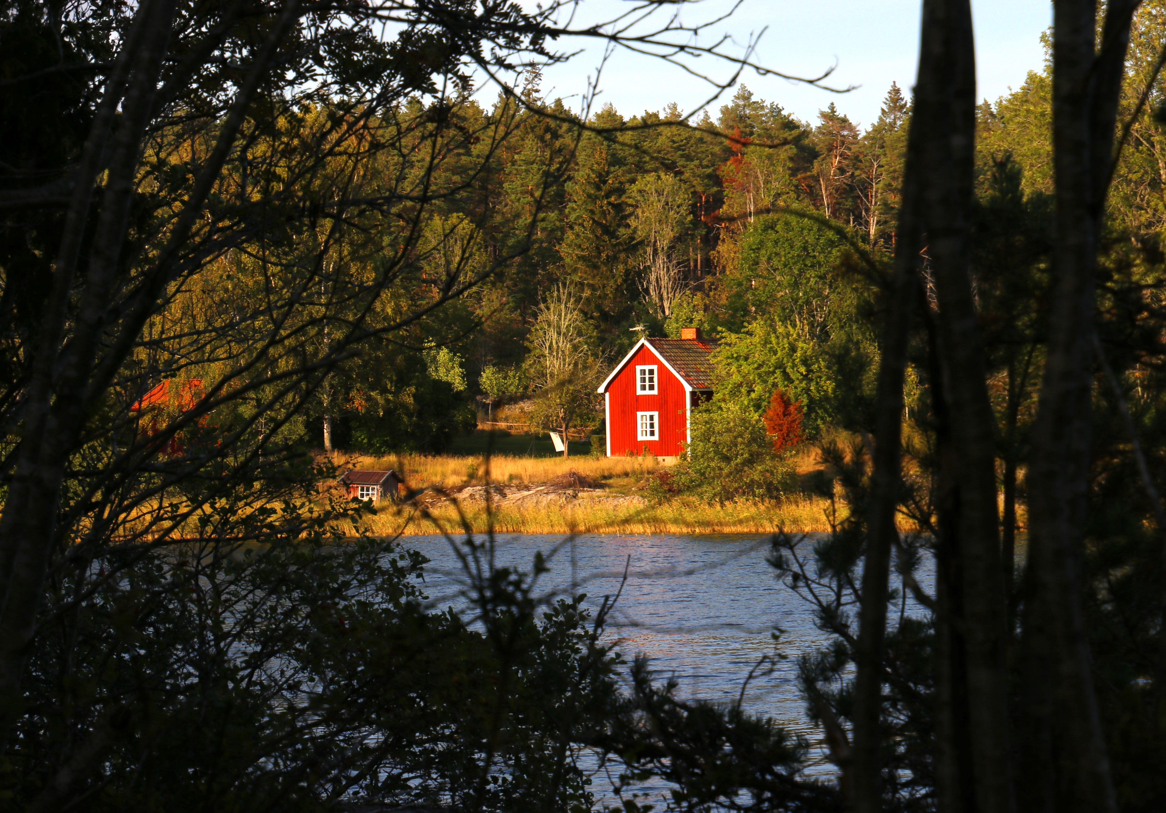 Forest Trees House River Landscape Nature