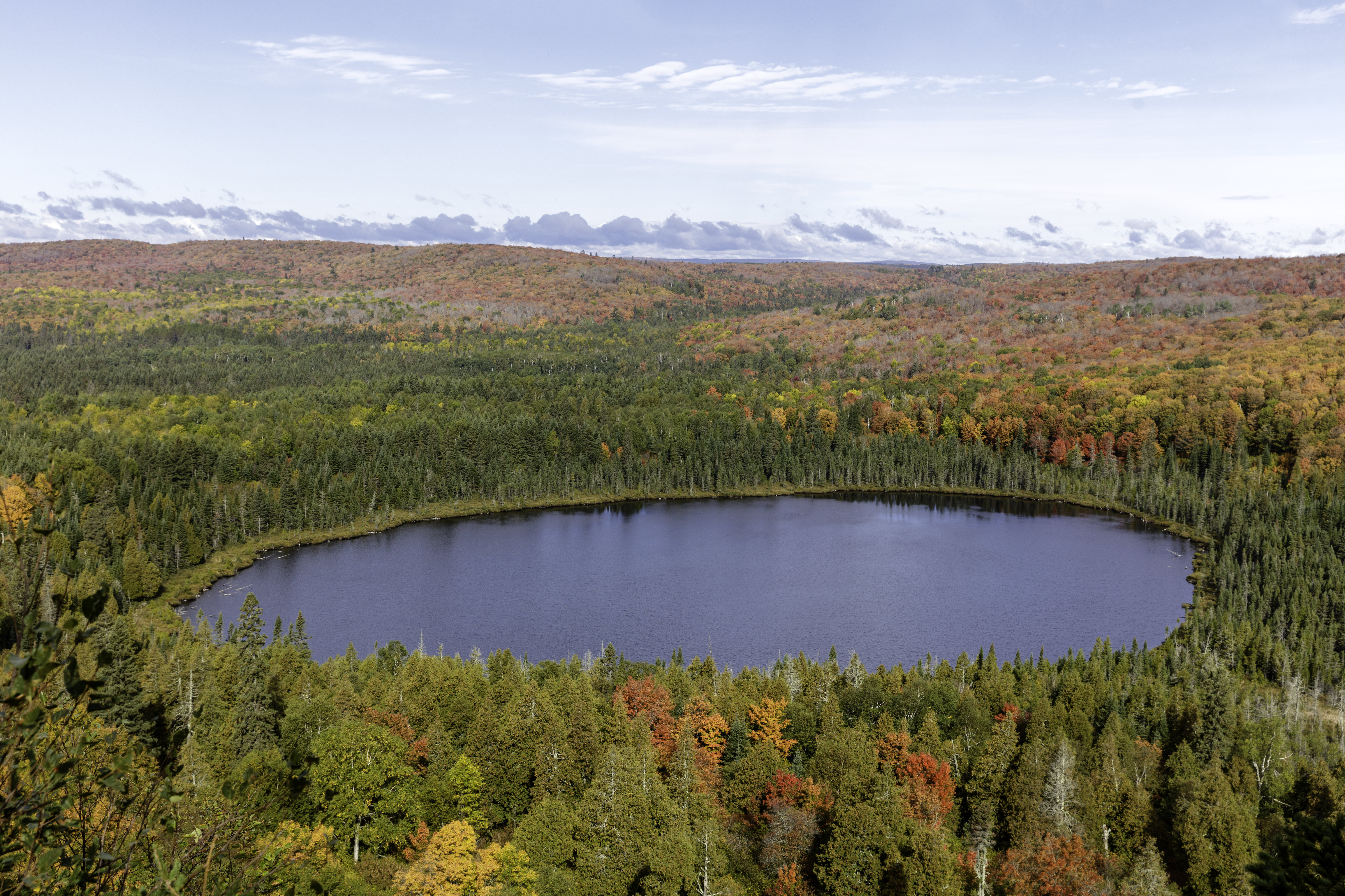 Forest Trees Lake Aerial-view Autumn Landscape