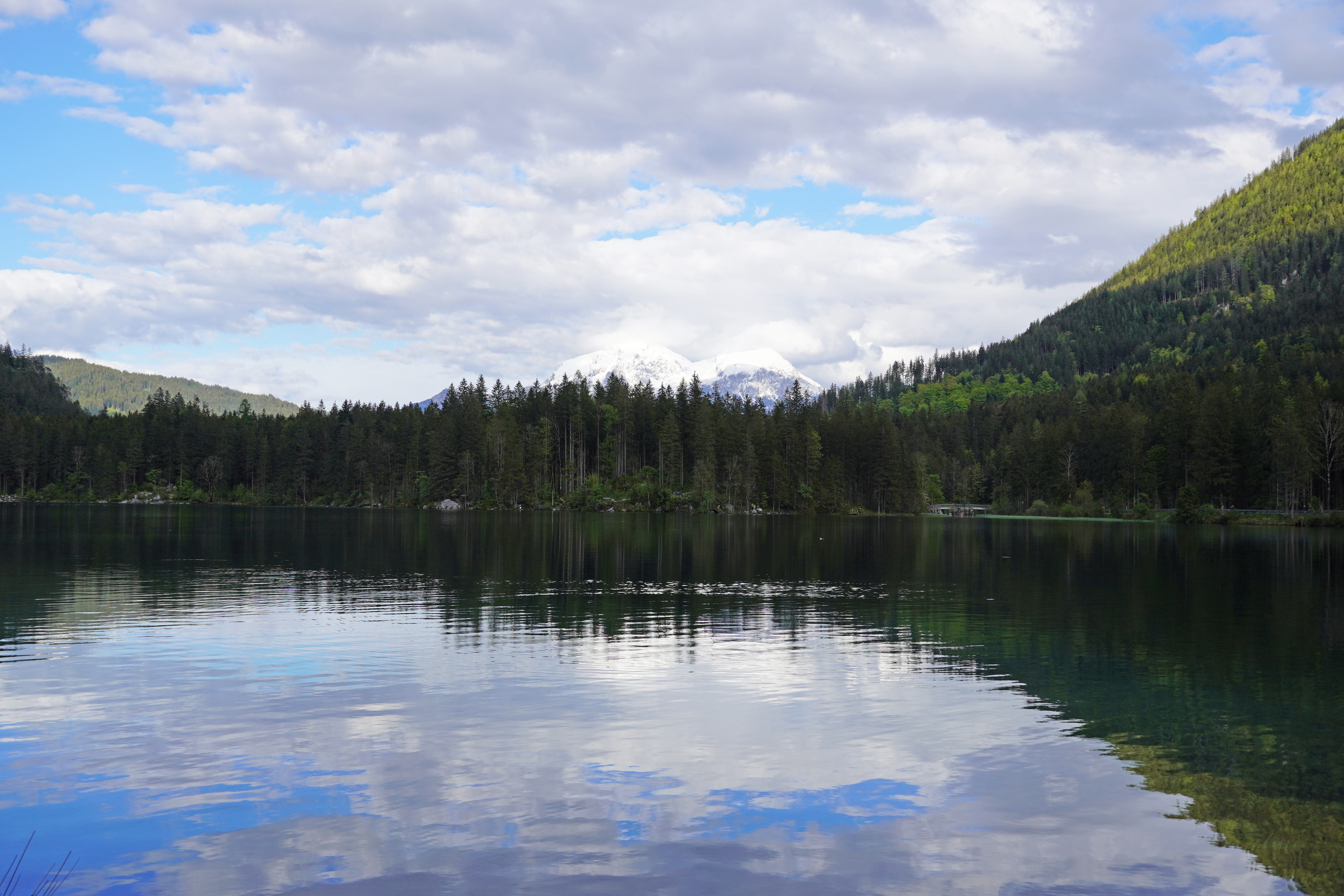 Forest Trees Lake Mountains Landscape