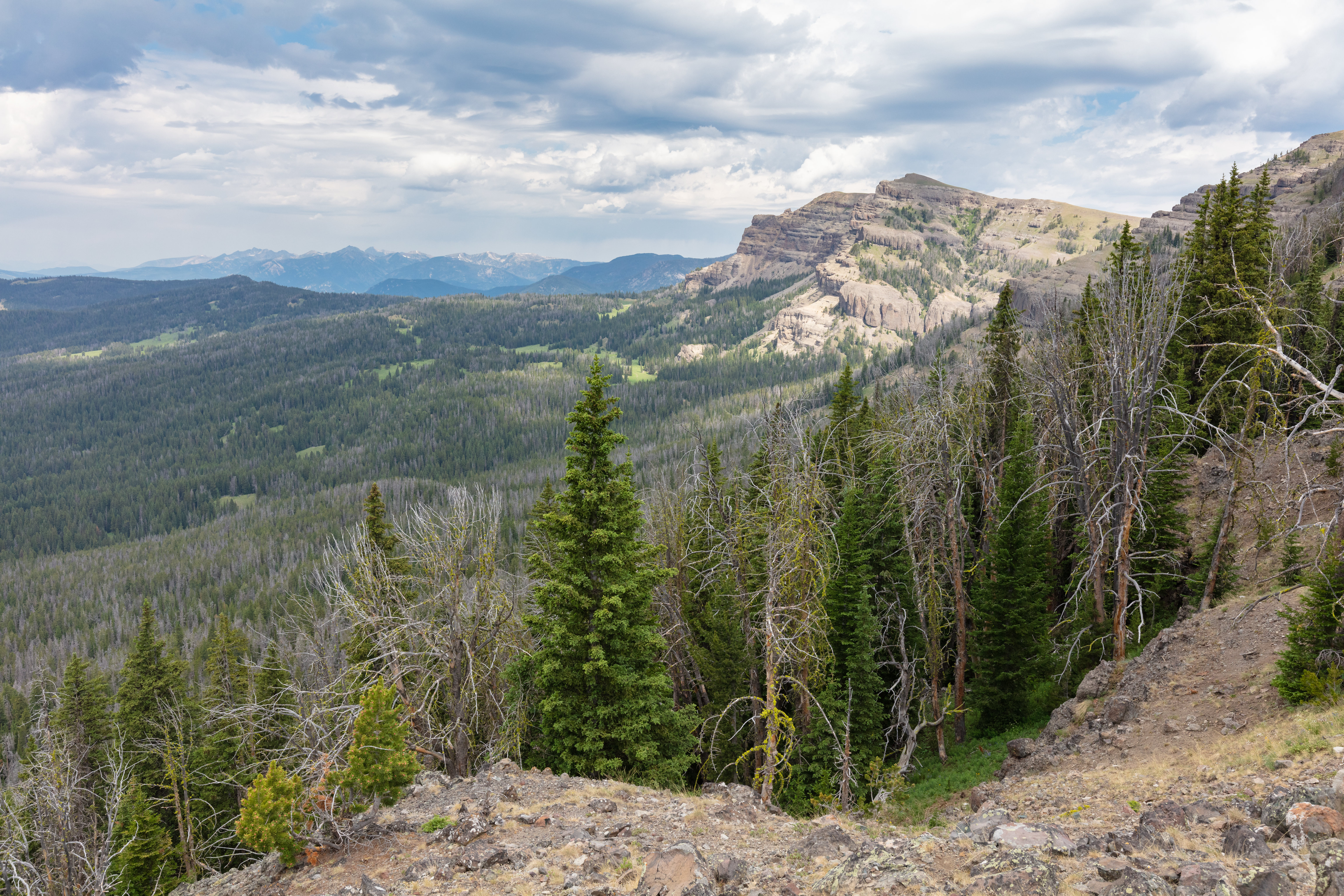 Forest Trees Mountains Landscape Nature Aerial-view