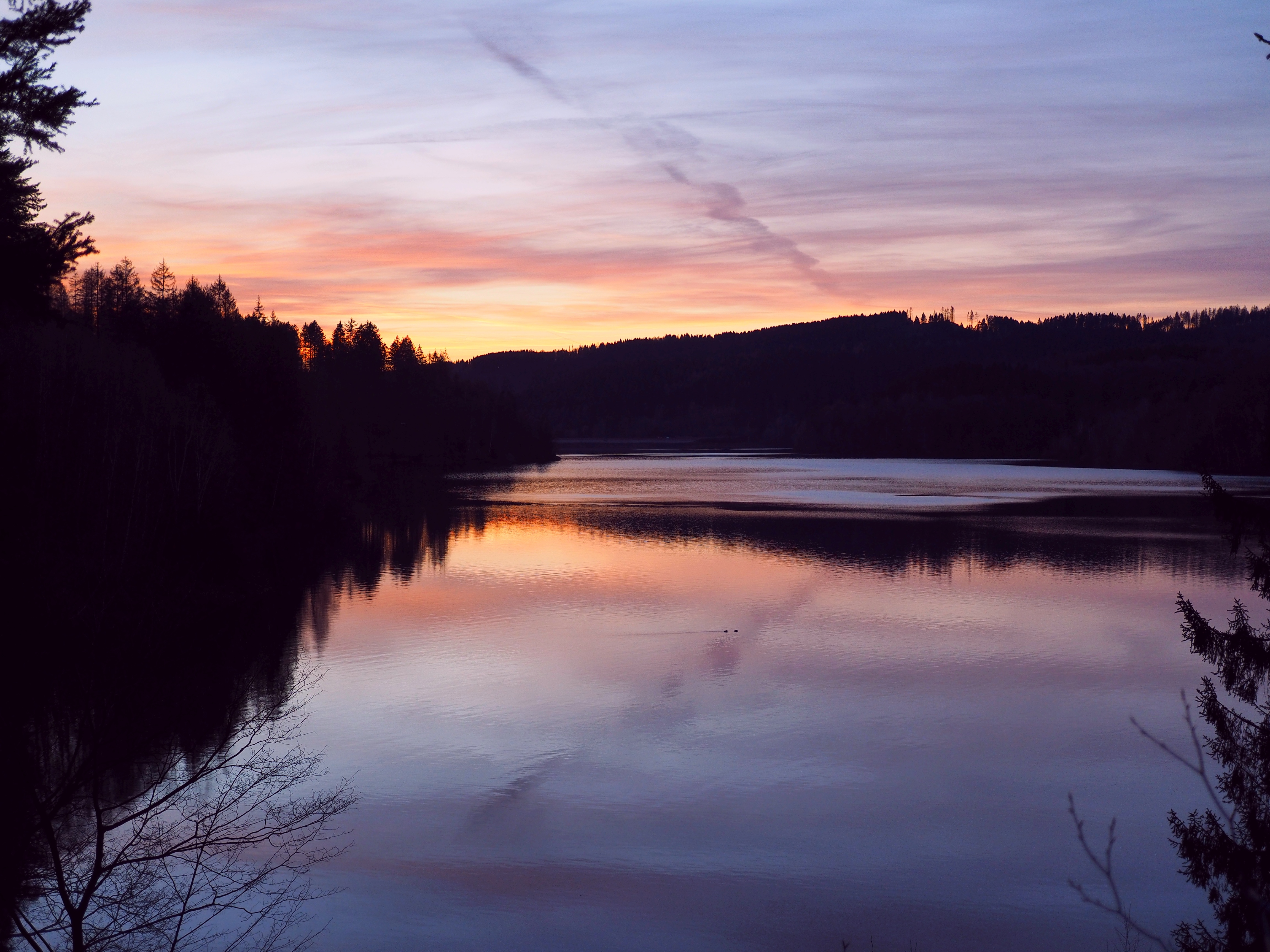 Forest Trees Silhouettes Lake Reflection Twilight Dark