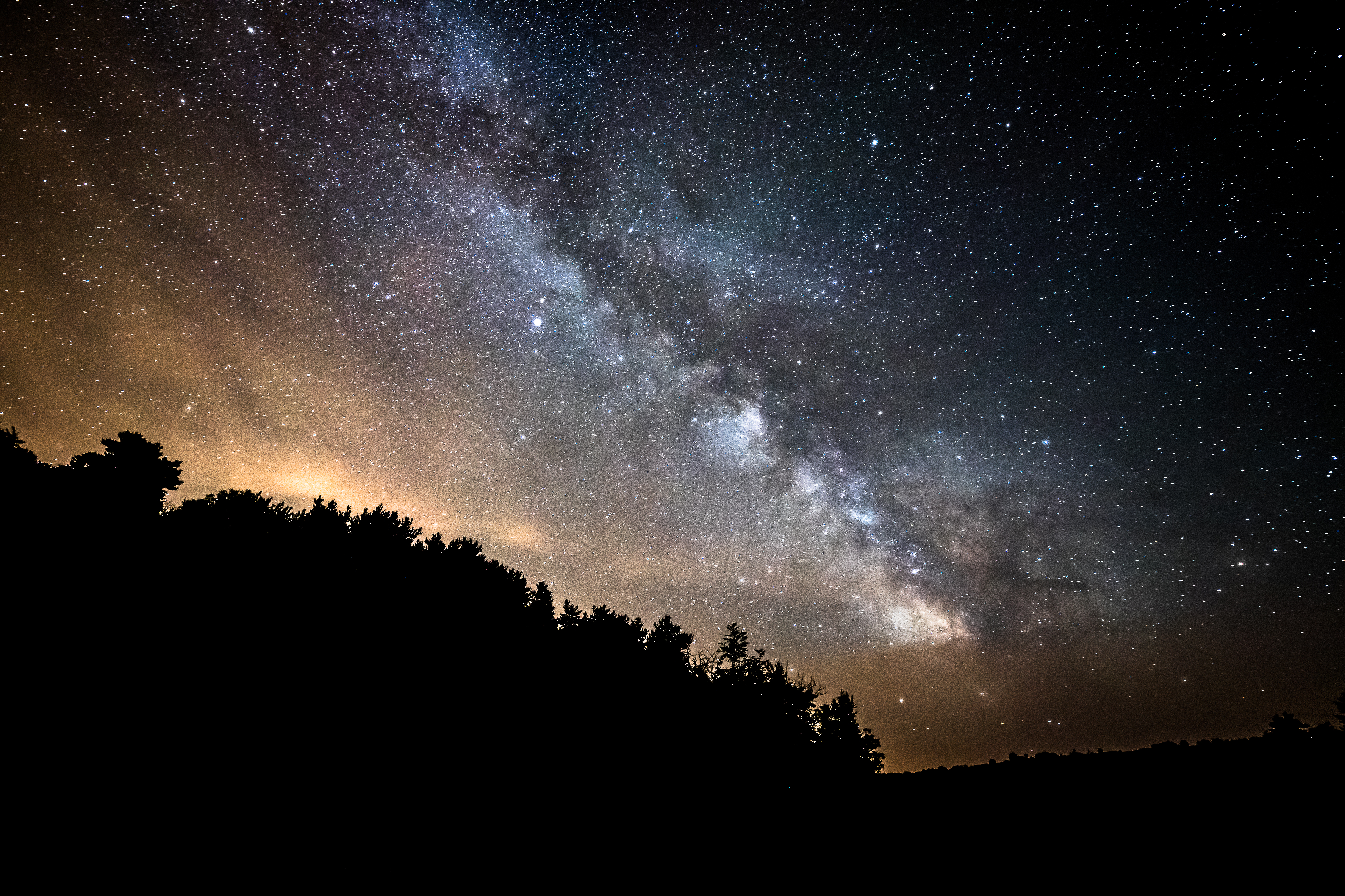 Forest Trees Silhouettes Stars Night Milky-way