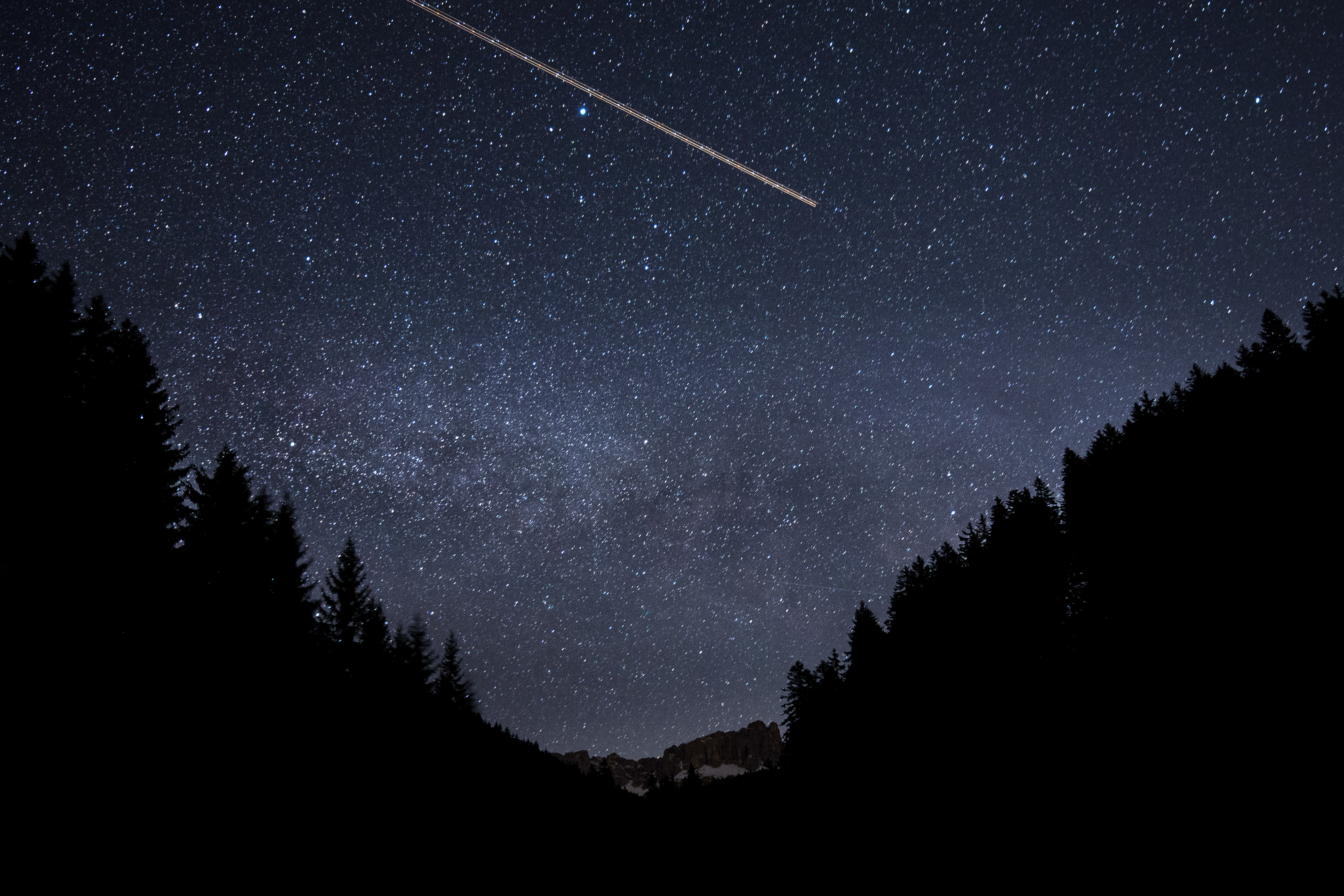 Forest Trees Silhouettes Stars Sky Dark