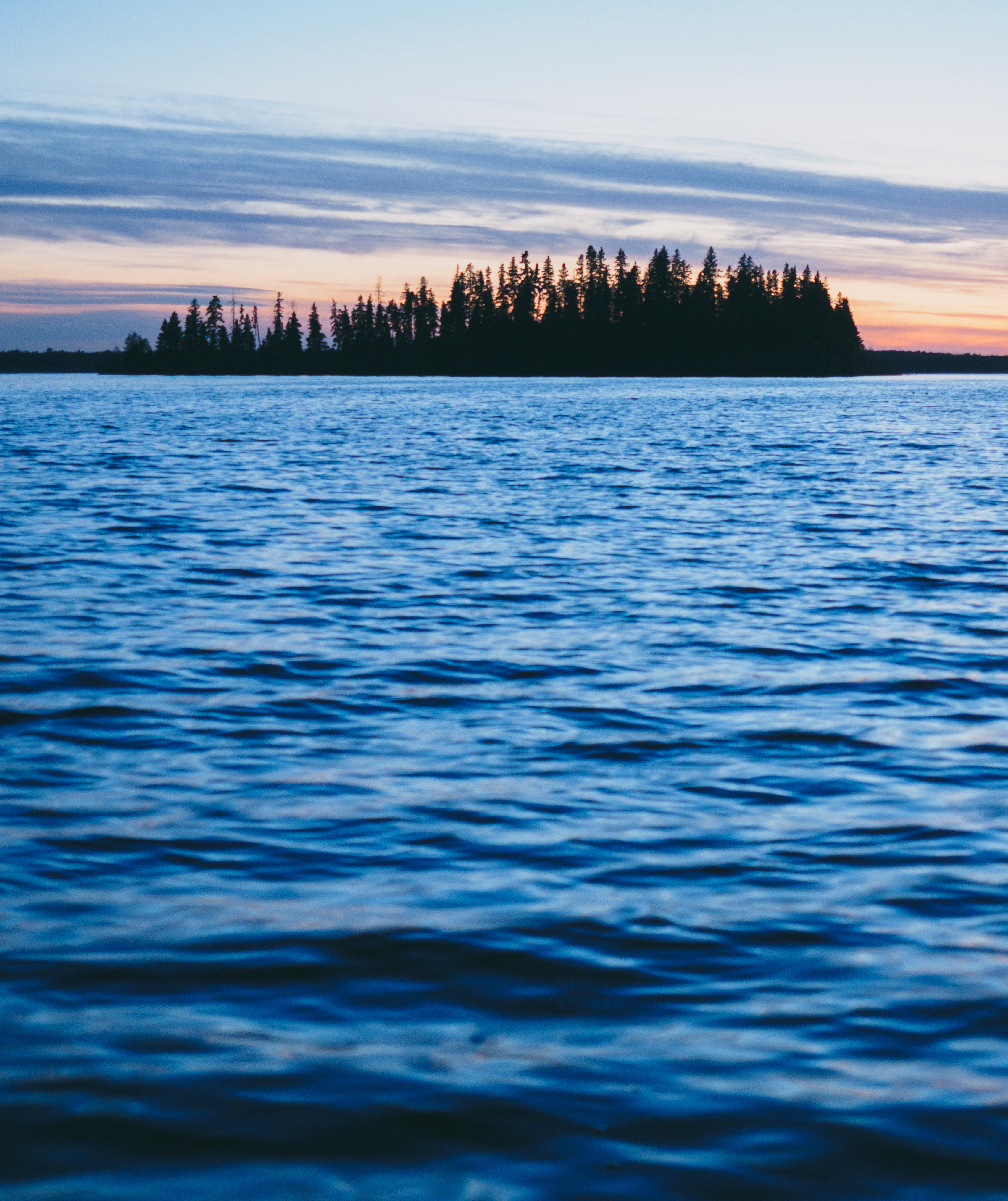 Forest Trees Silhouettes Water Waves Landscape