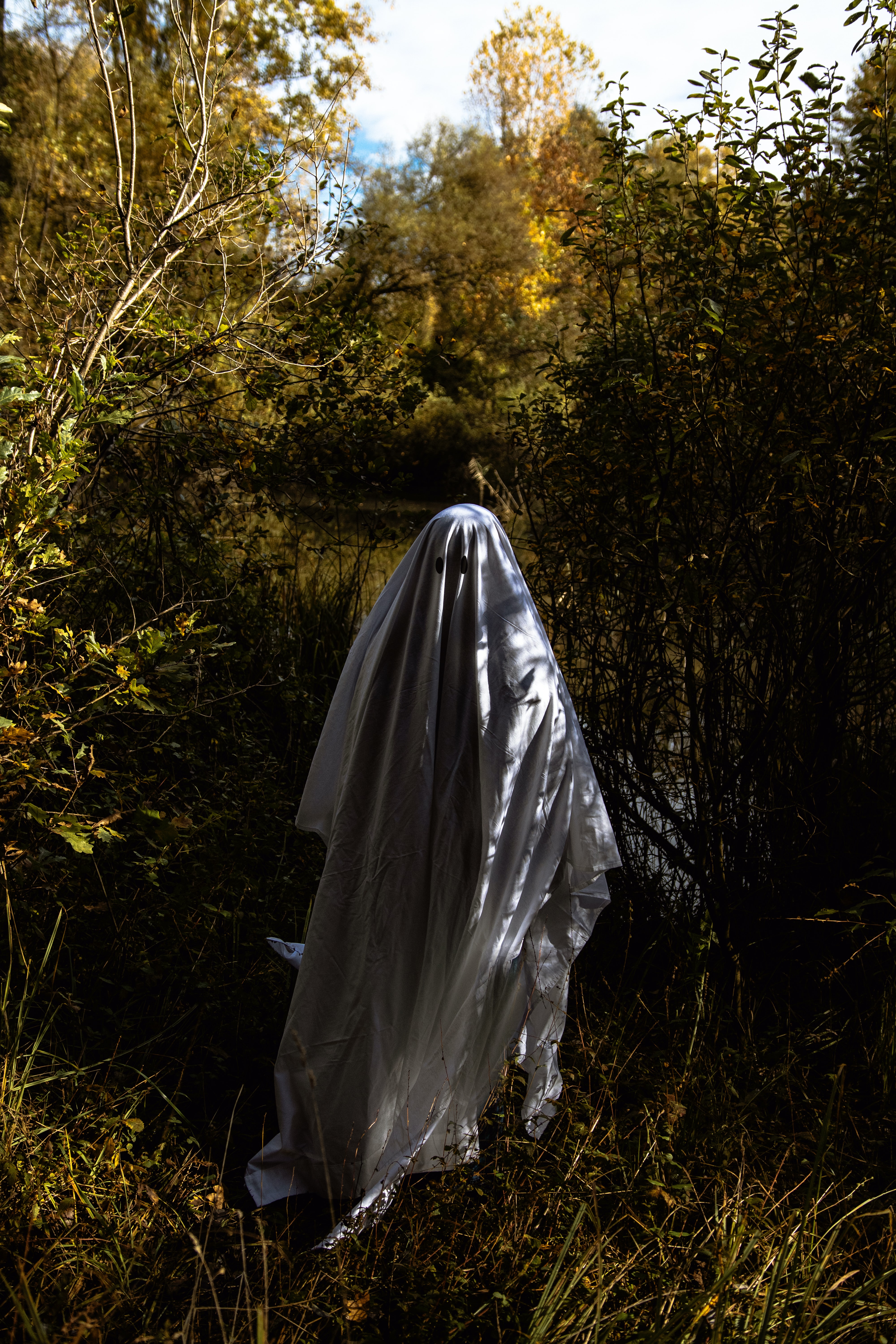 Ghost Cape Bushes White