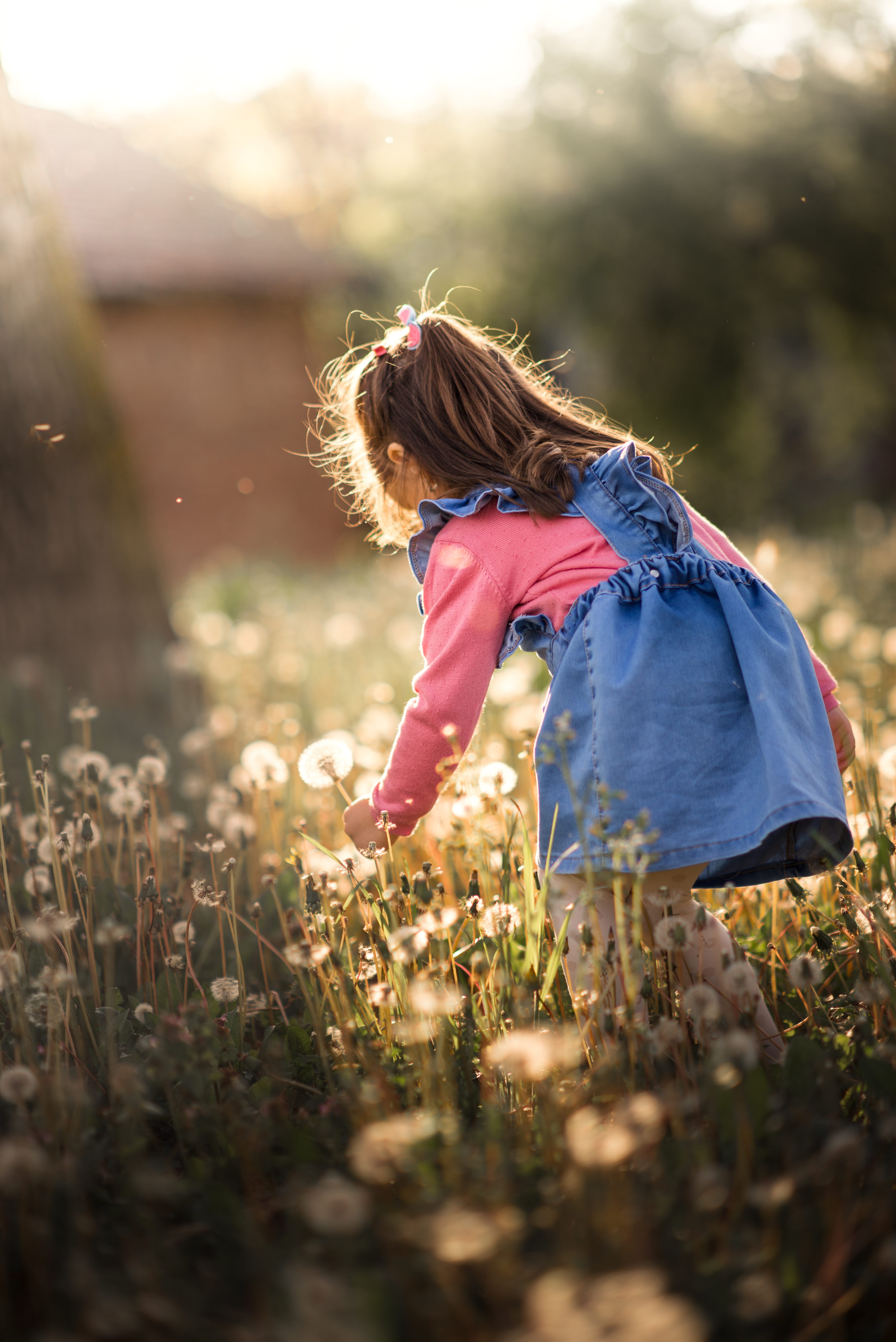 Girl Child Dandelions Field