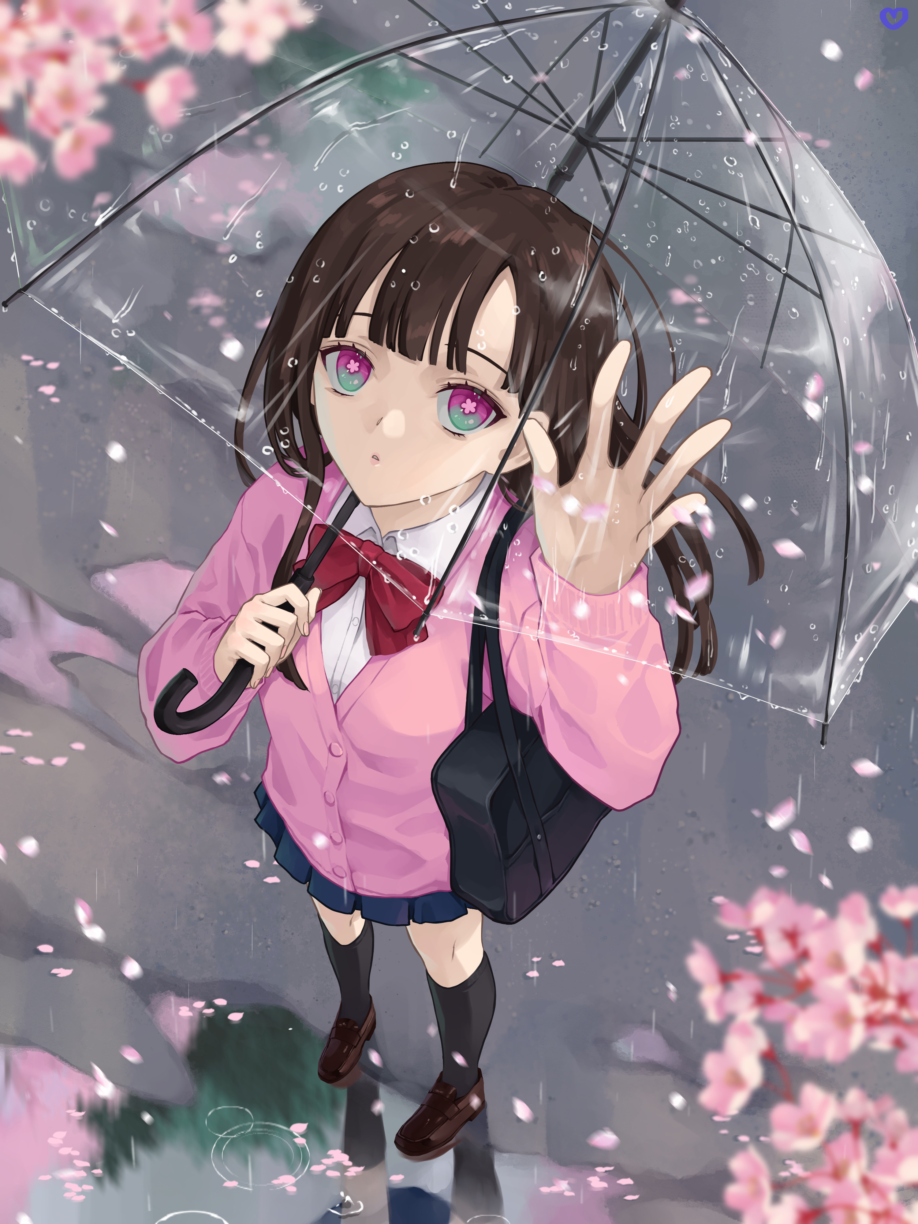 Girl Glance Umbrella Rain Anime